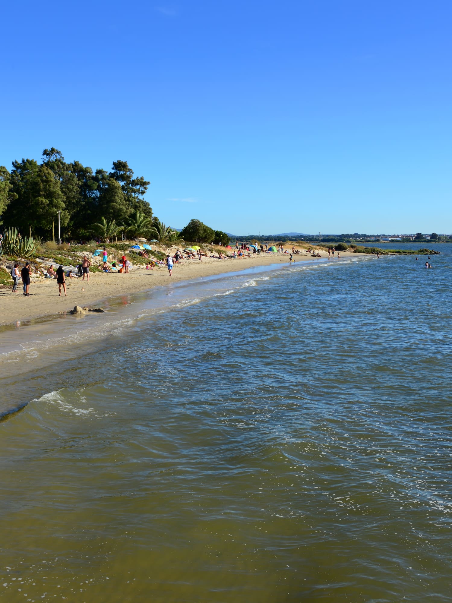 a beach with people and trees