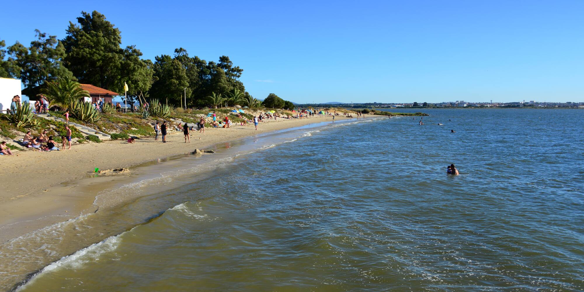 a beach with people and trees
