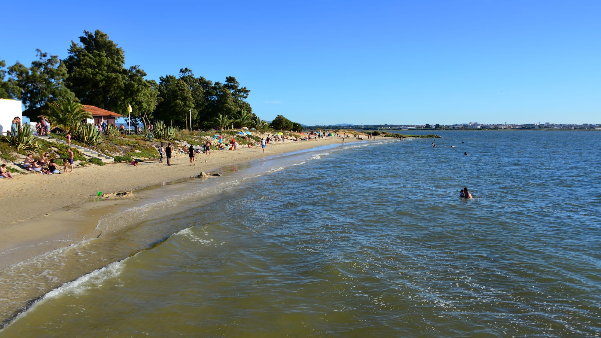 a beach with people and trees
