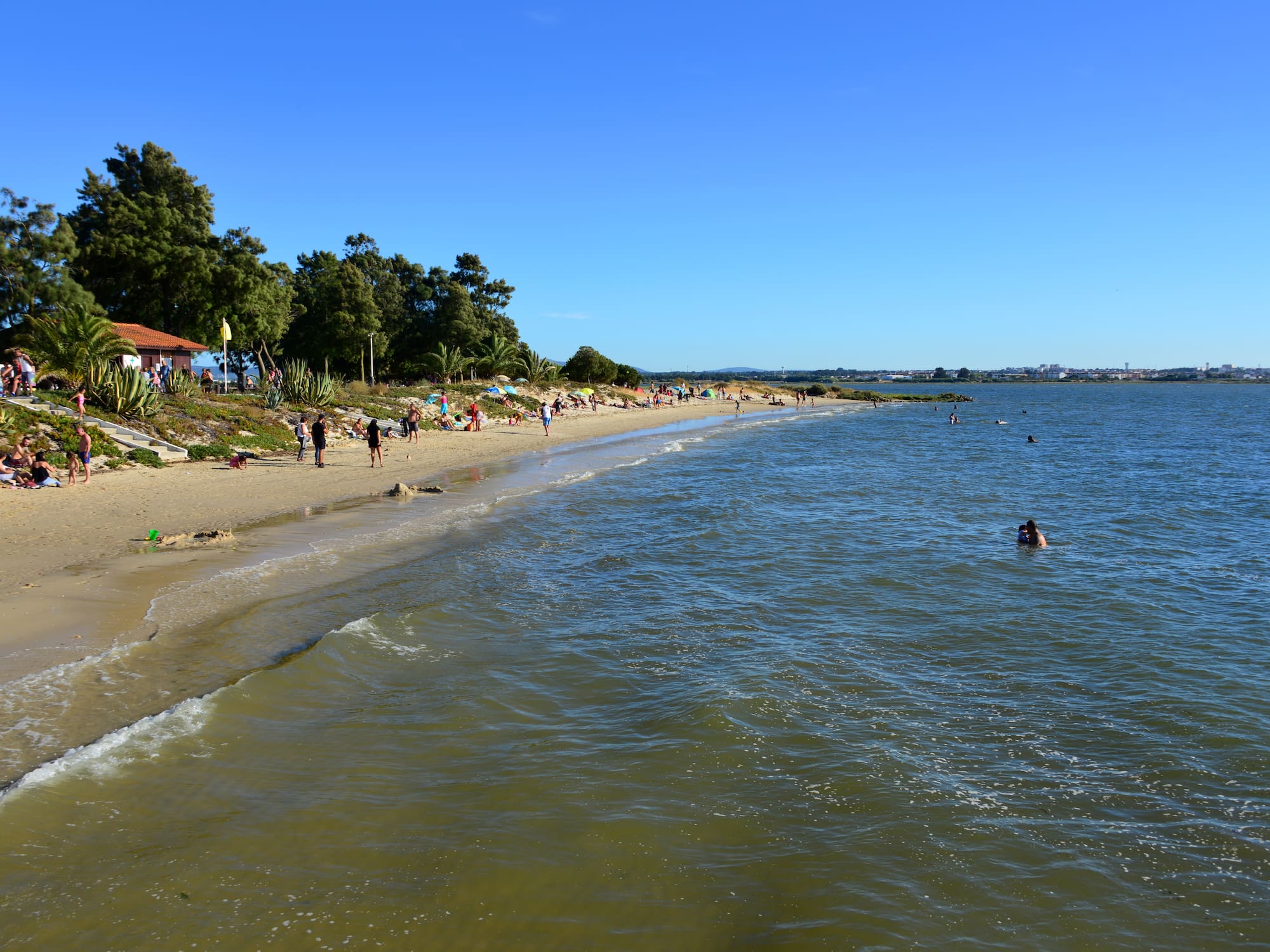 a beach with people and trees
