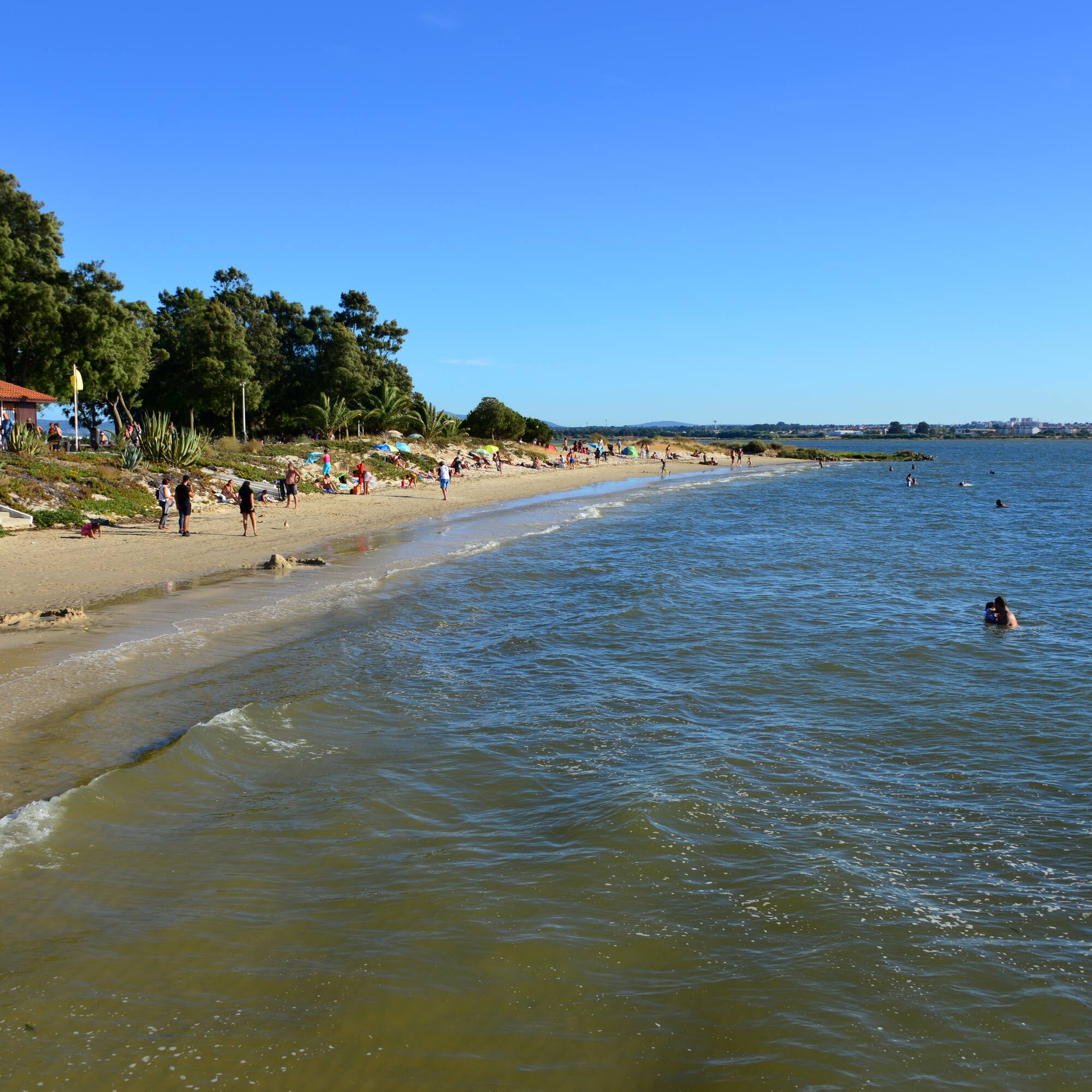 a beach with people and trees