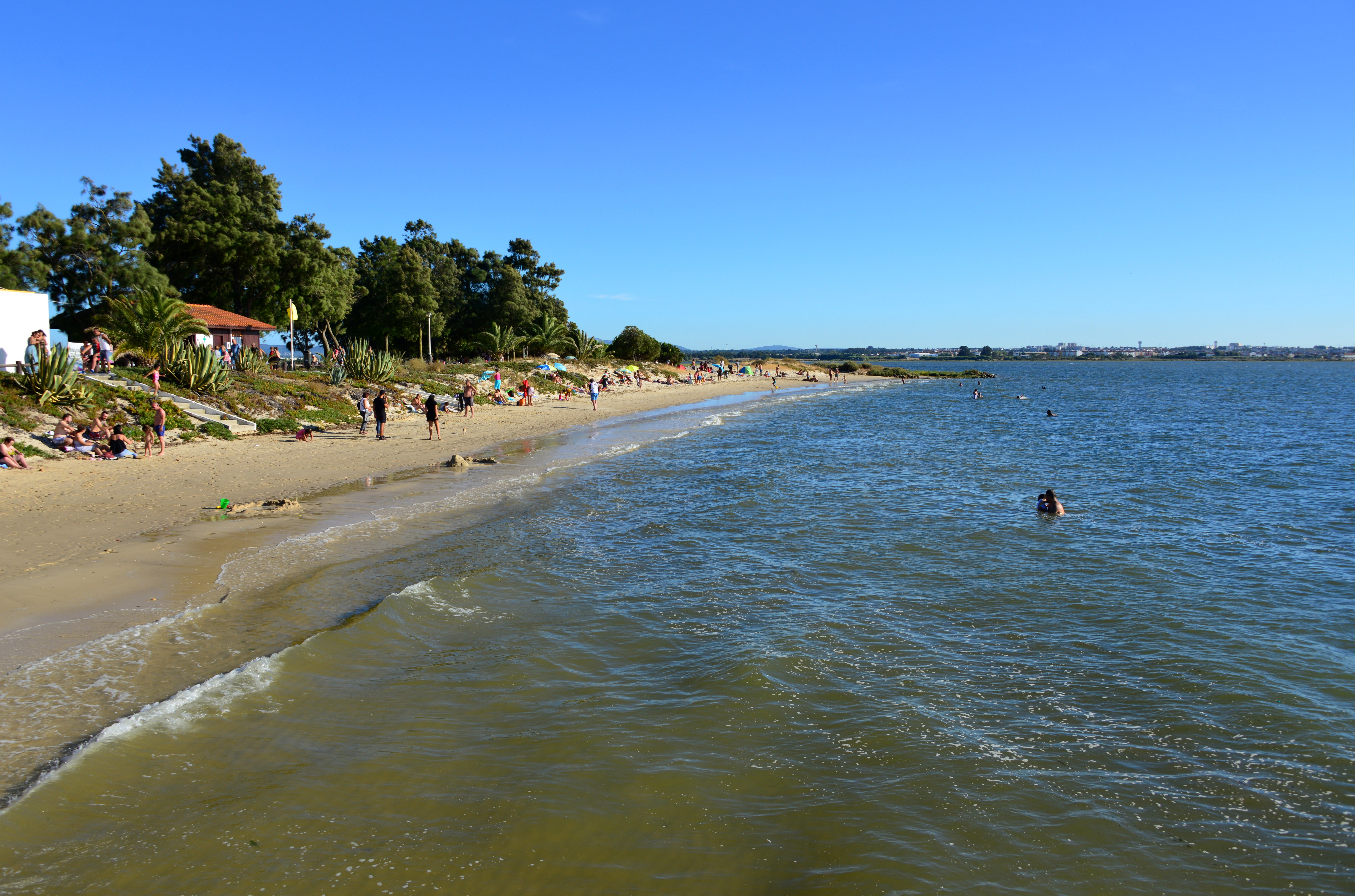 Playa fluvial soleada con gente, algunos nadando; orilla arbolada.