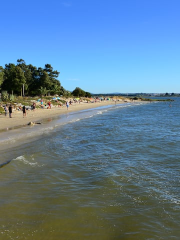 a beach with people and trees
