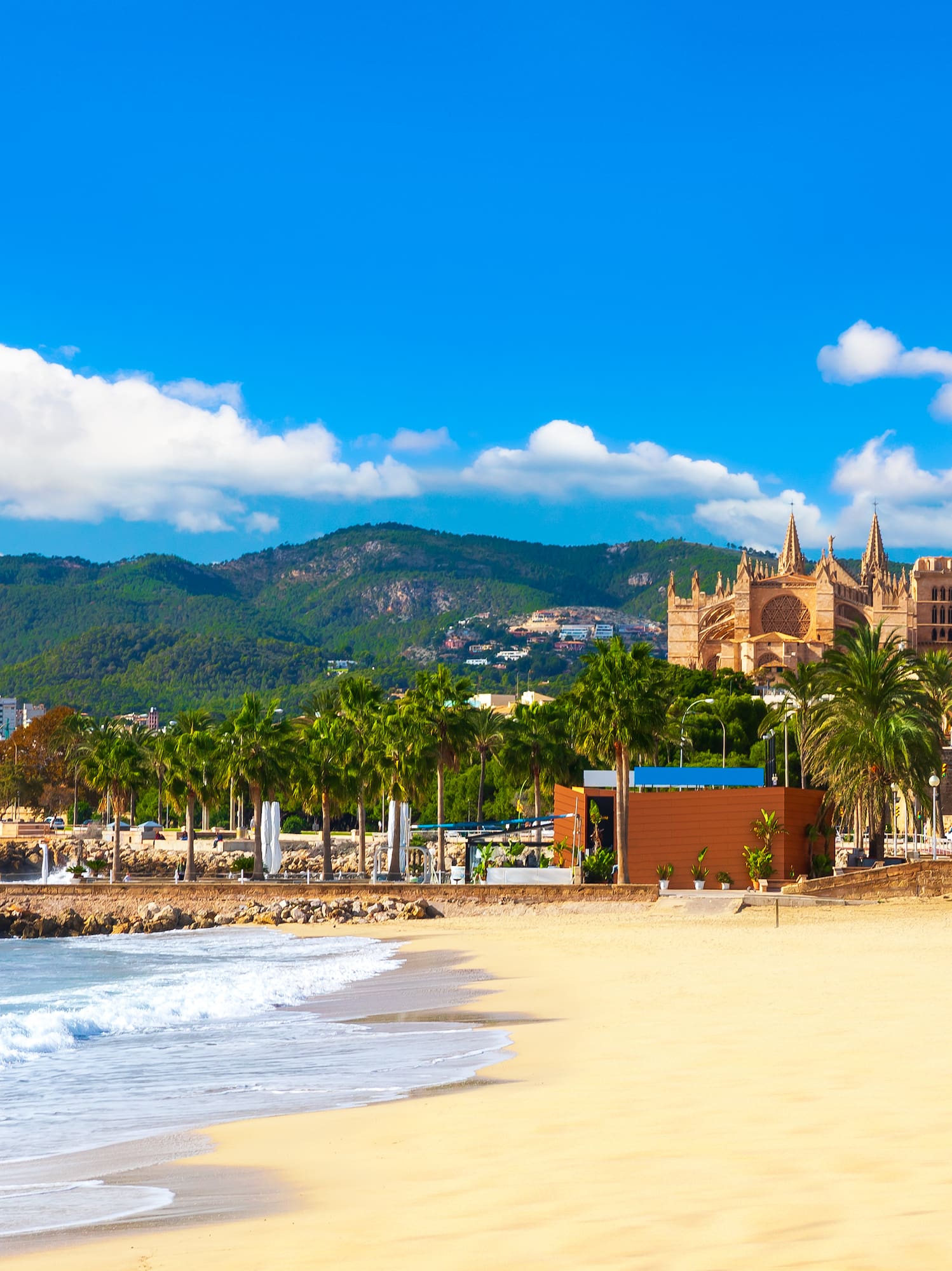 a beach with palm trees and buildings