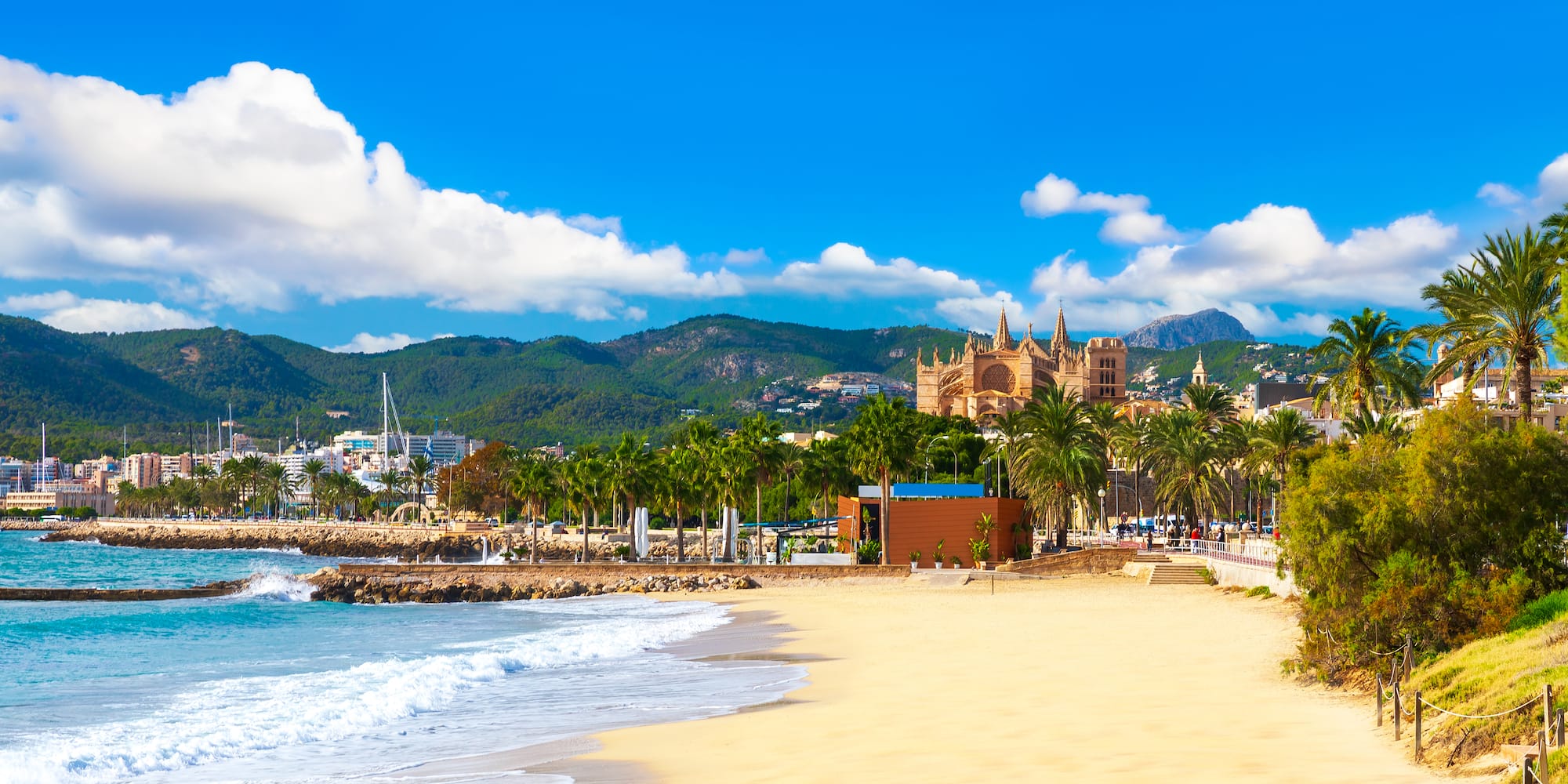 a beach with palm trees and buildings