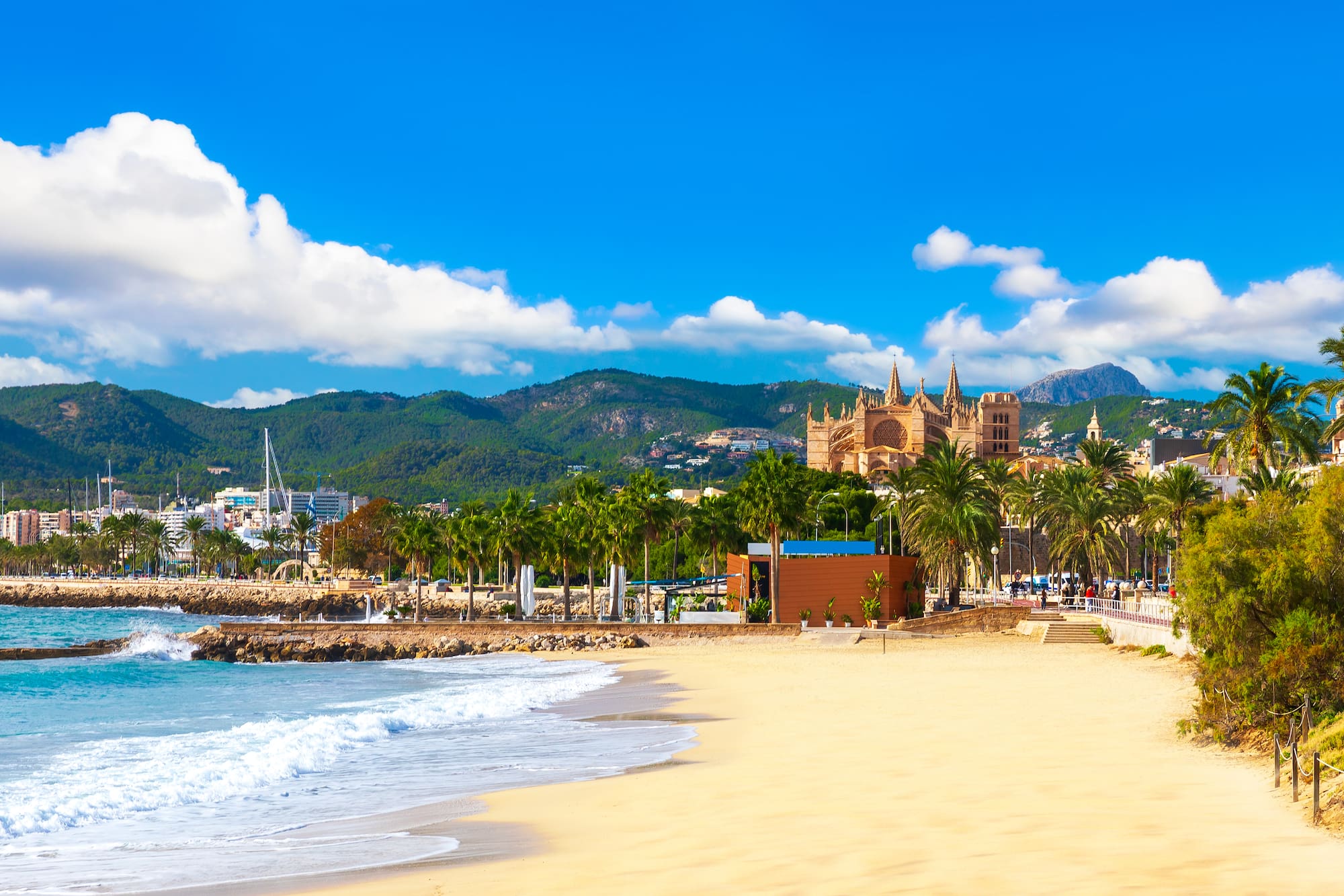 a beach with palm trees and buildings