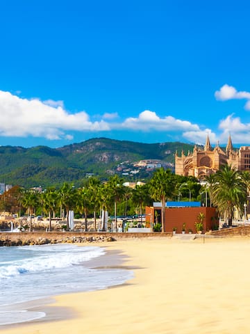 a beach with palm trees and buildings