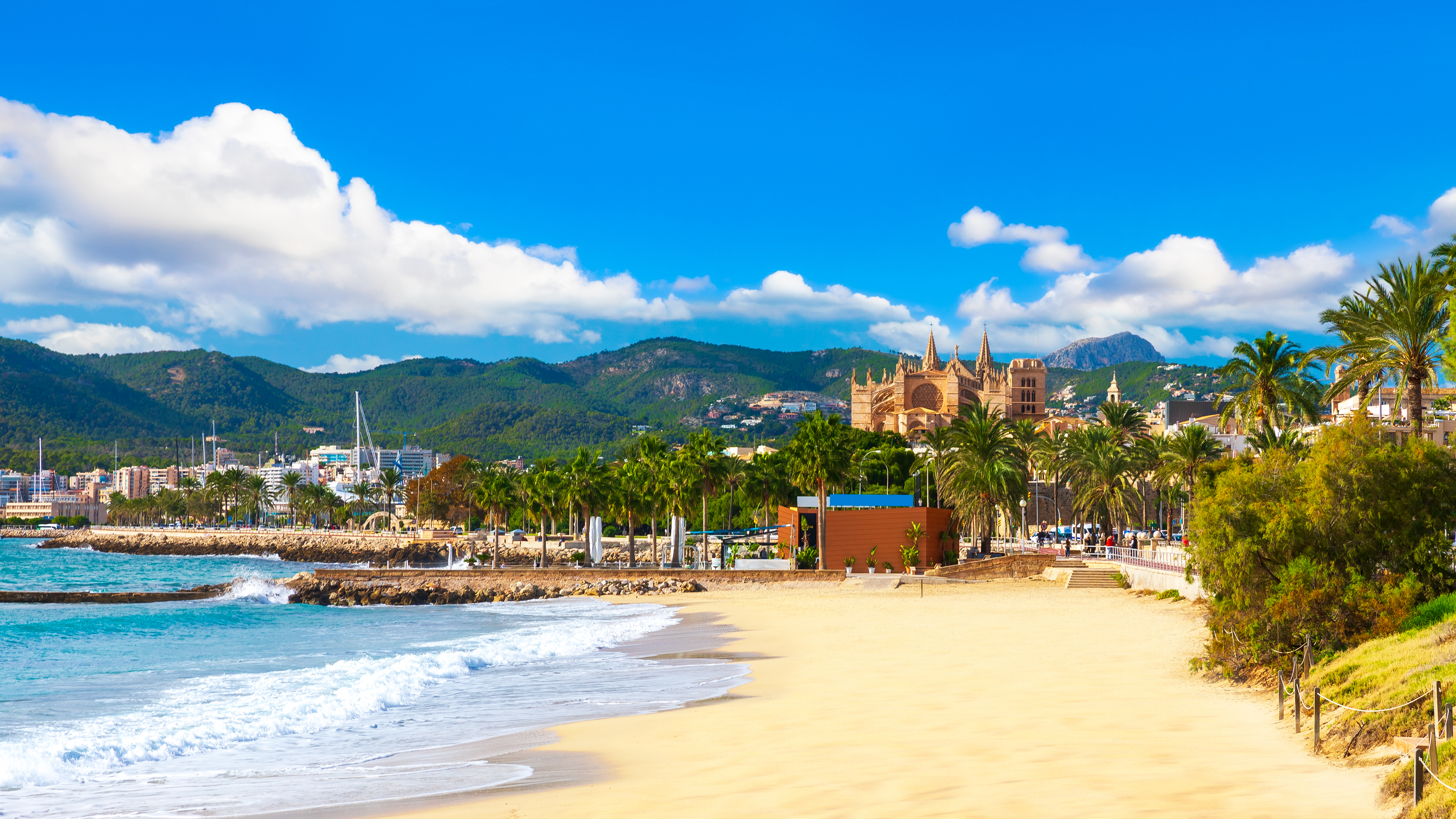 a beach with palm trees and buildings