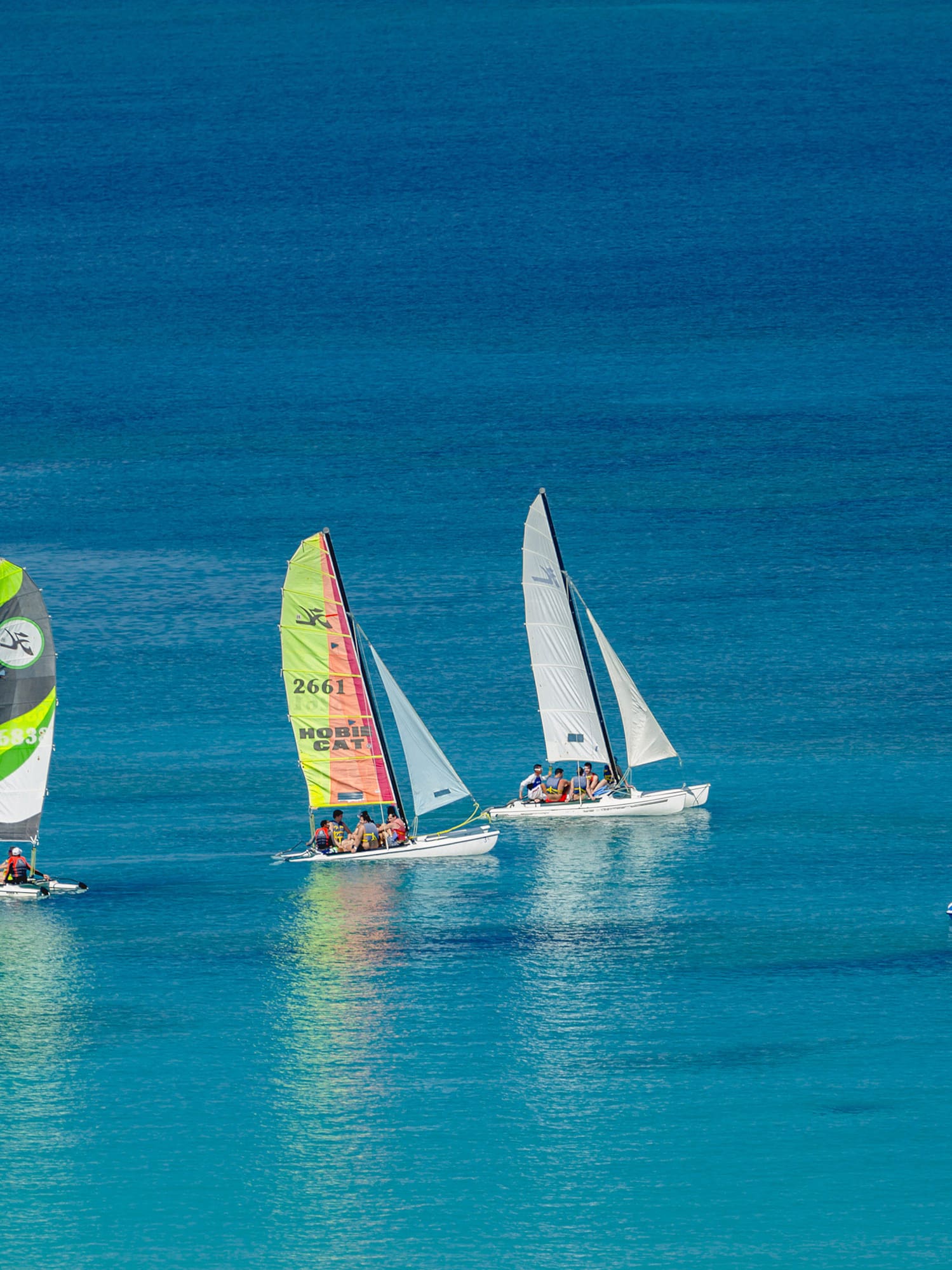 a group of sailboats in the water
