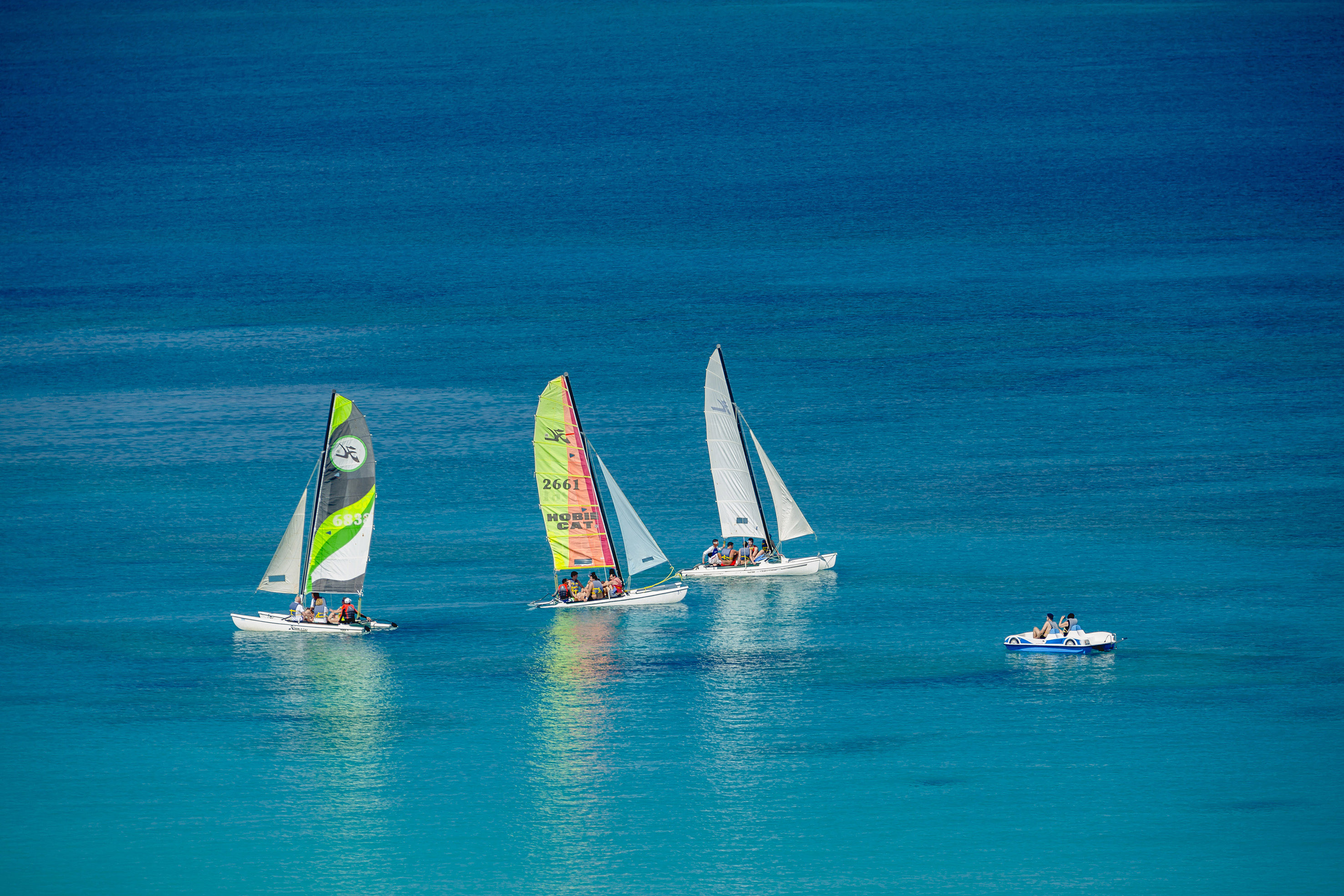 a group of sailboats in the water