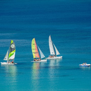 a group of sailboats in the water