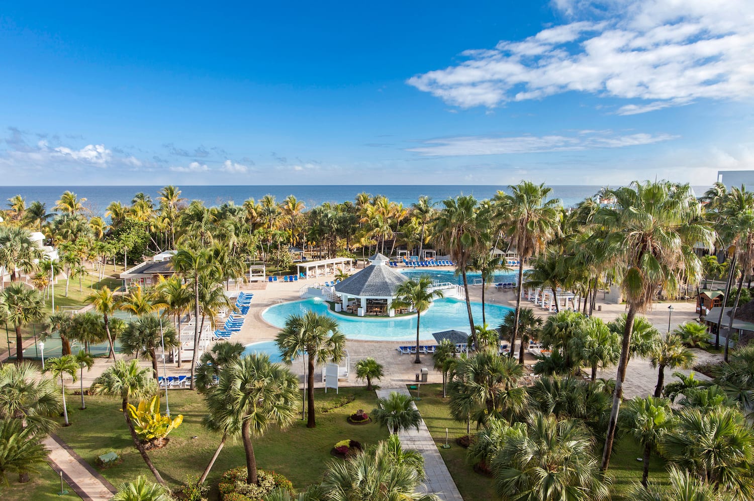 a pool with palm trees and a gazebo