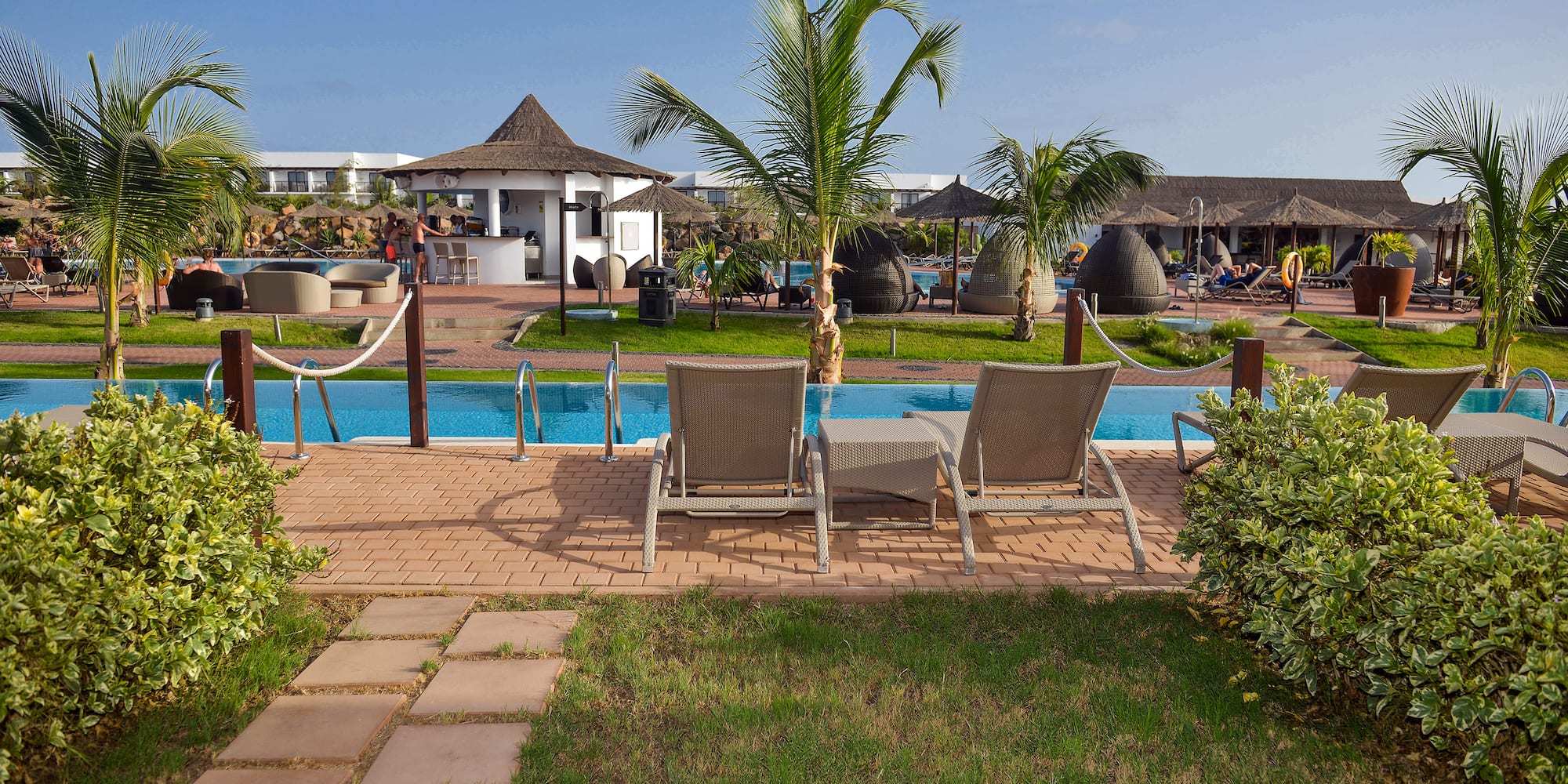 a pool with chairs and palm trees
