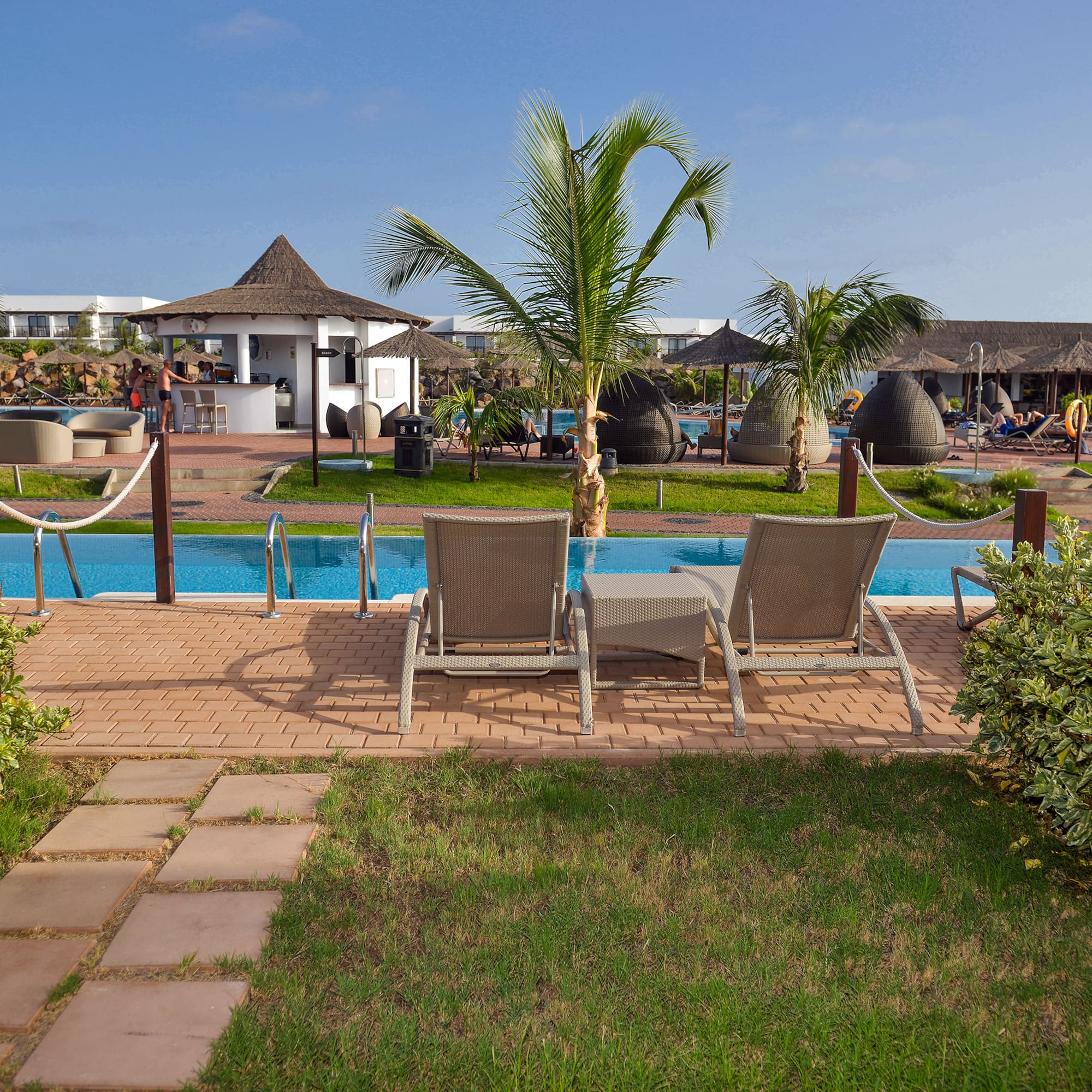 a pool with chairs and palm trees