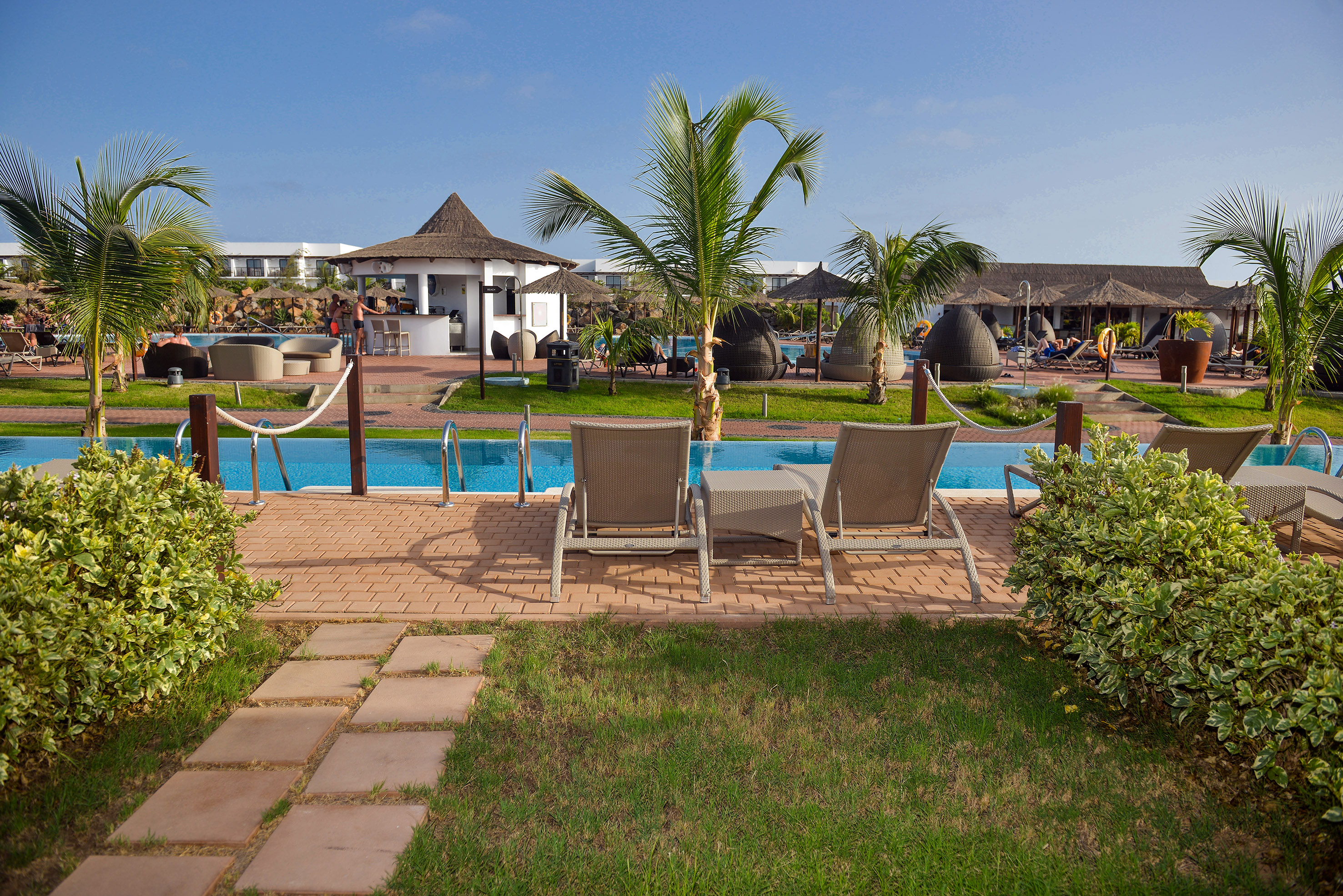 a pool with chairs and palm trees