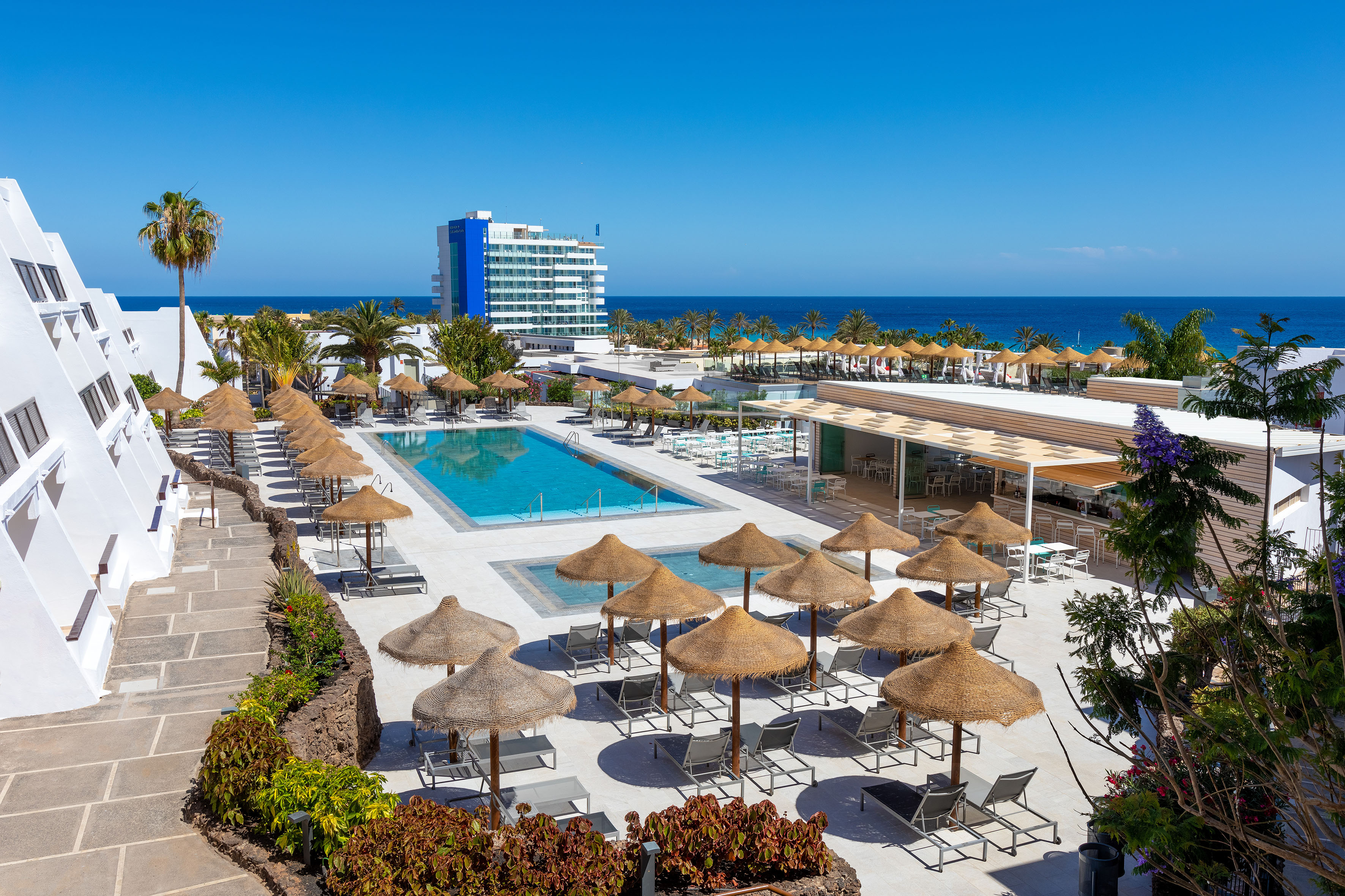 Hotel resort pool with thatched umbrellas, sunbeds, palm trees, and ocean view.
