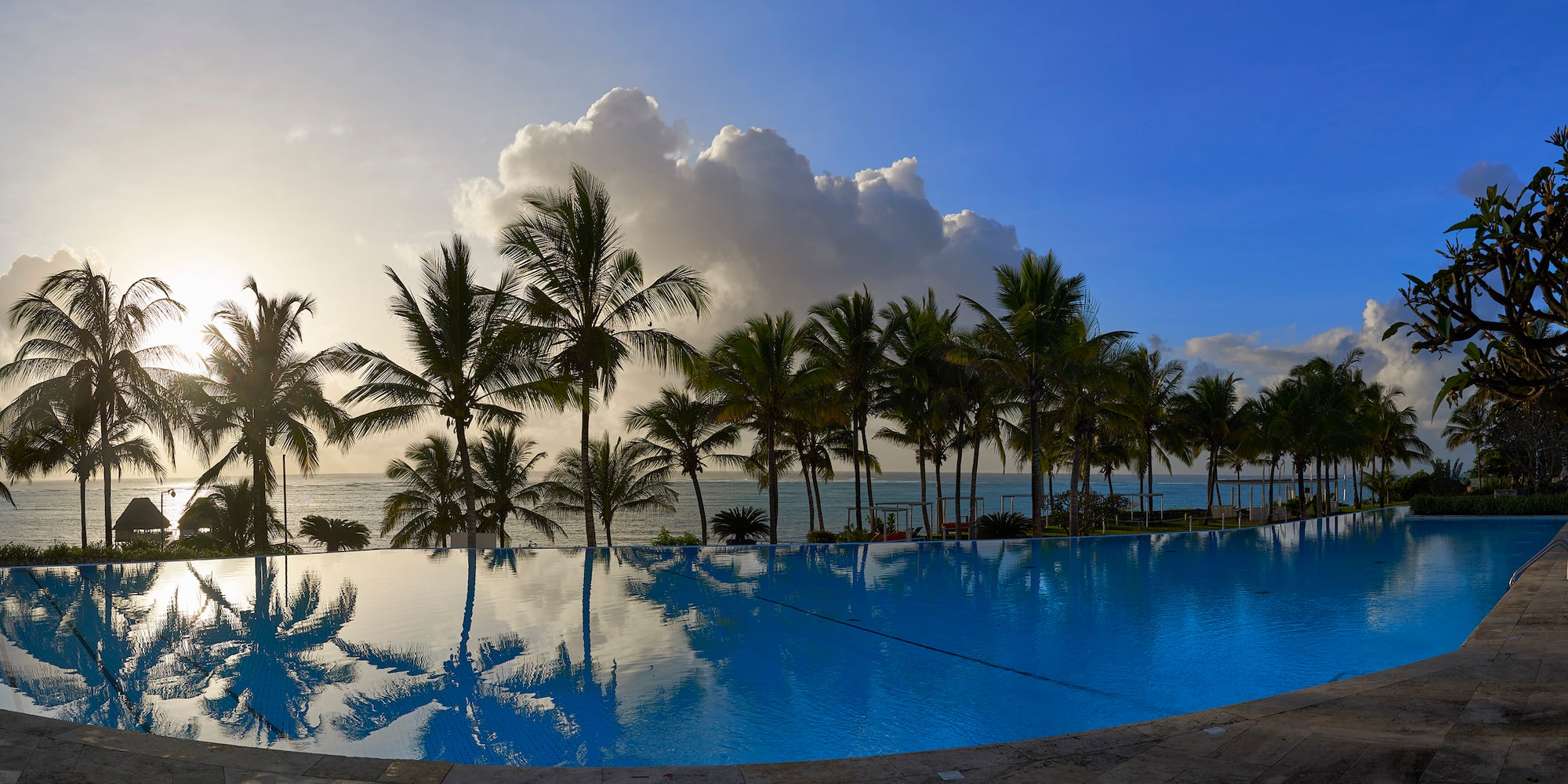 a pool with palm trees and a body of water