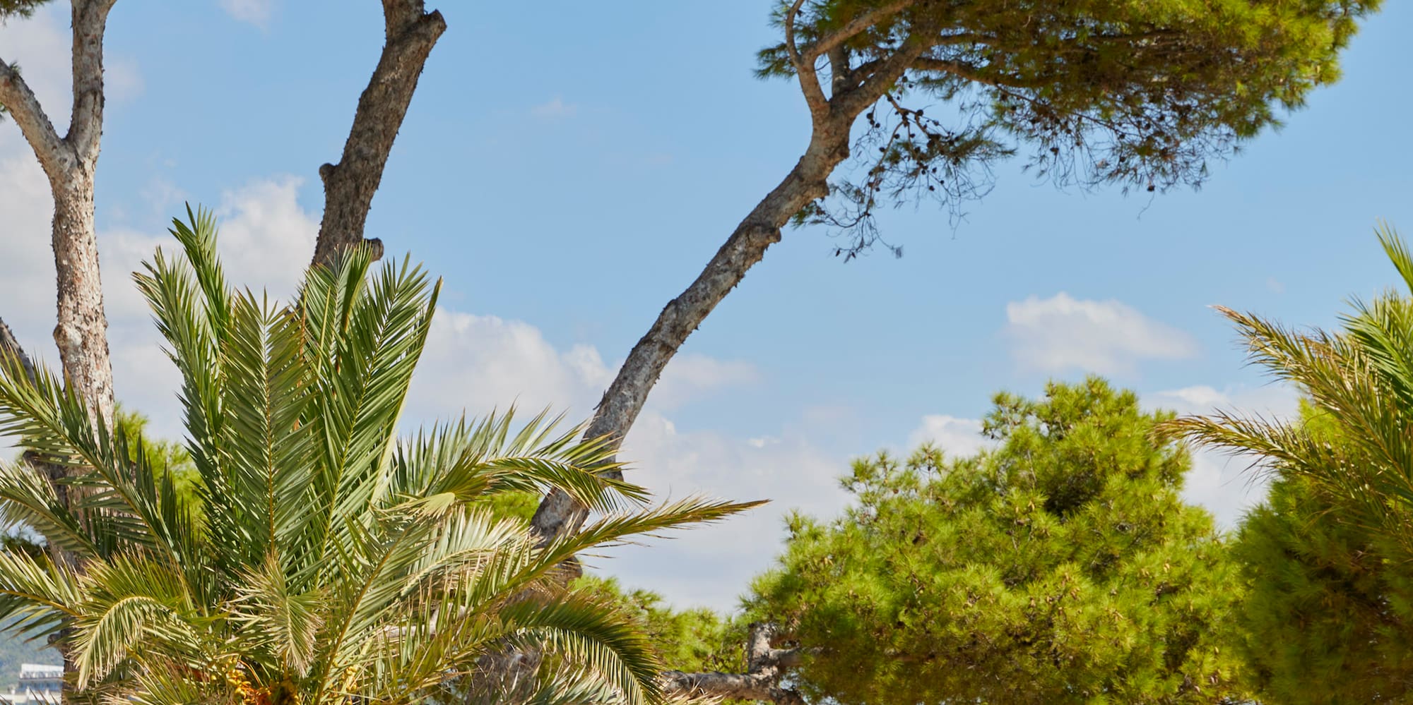 a pool with a beach chair and palm trees