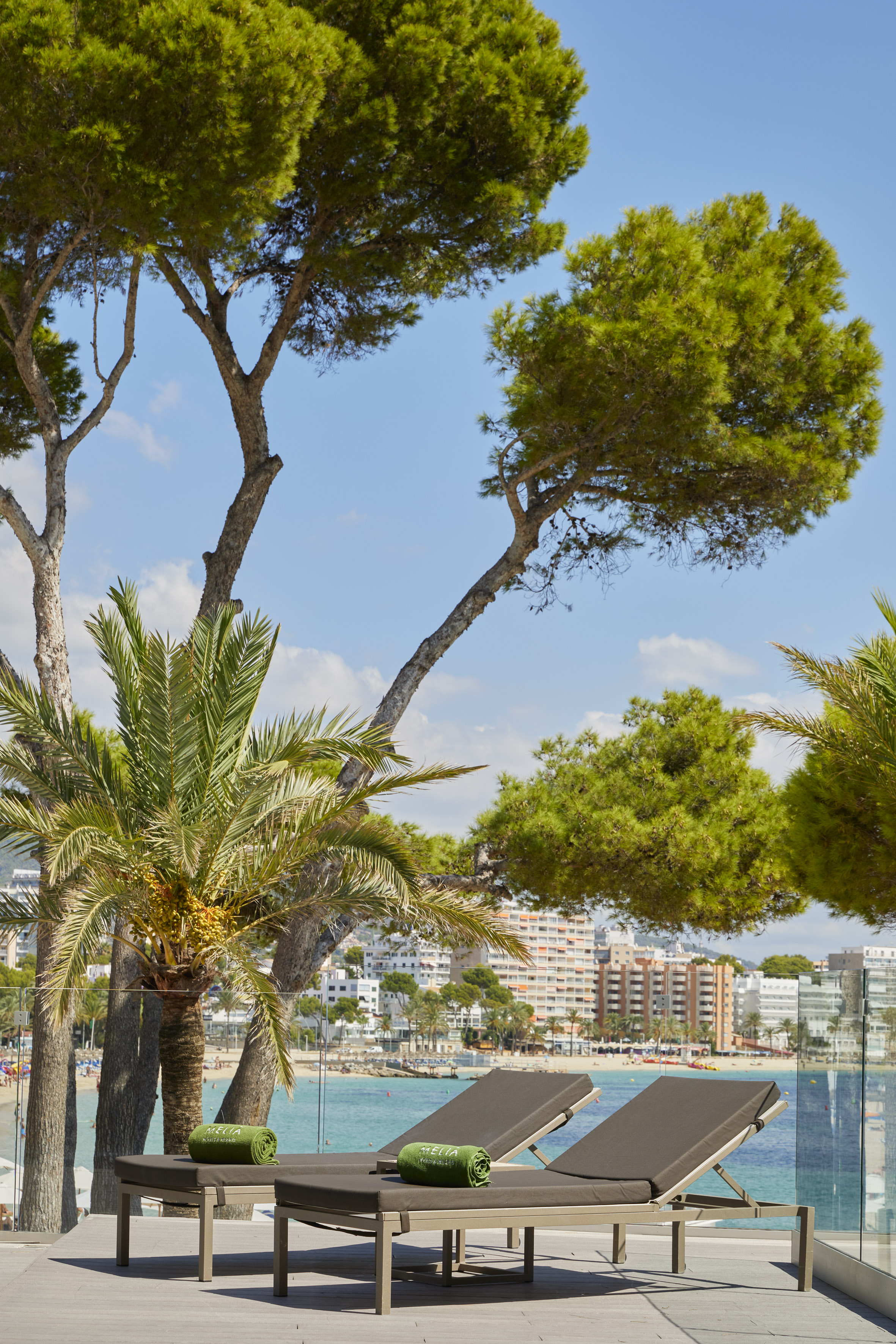 Hotel terrace with sun loungers, palm trees, beach, and ocean view.