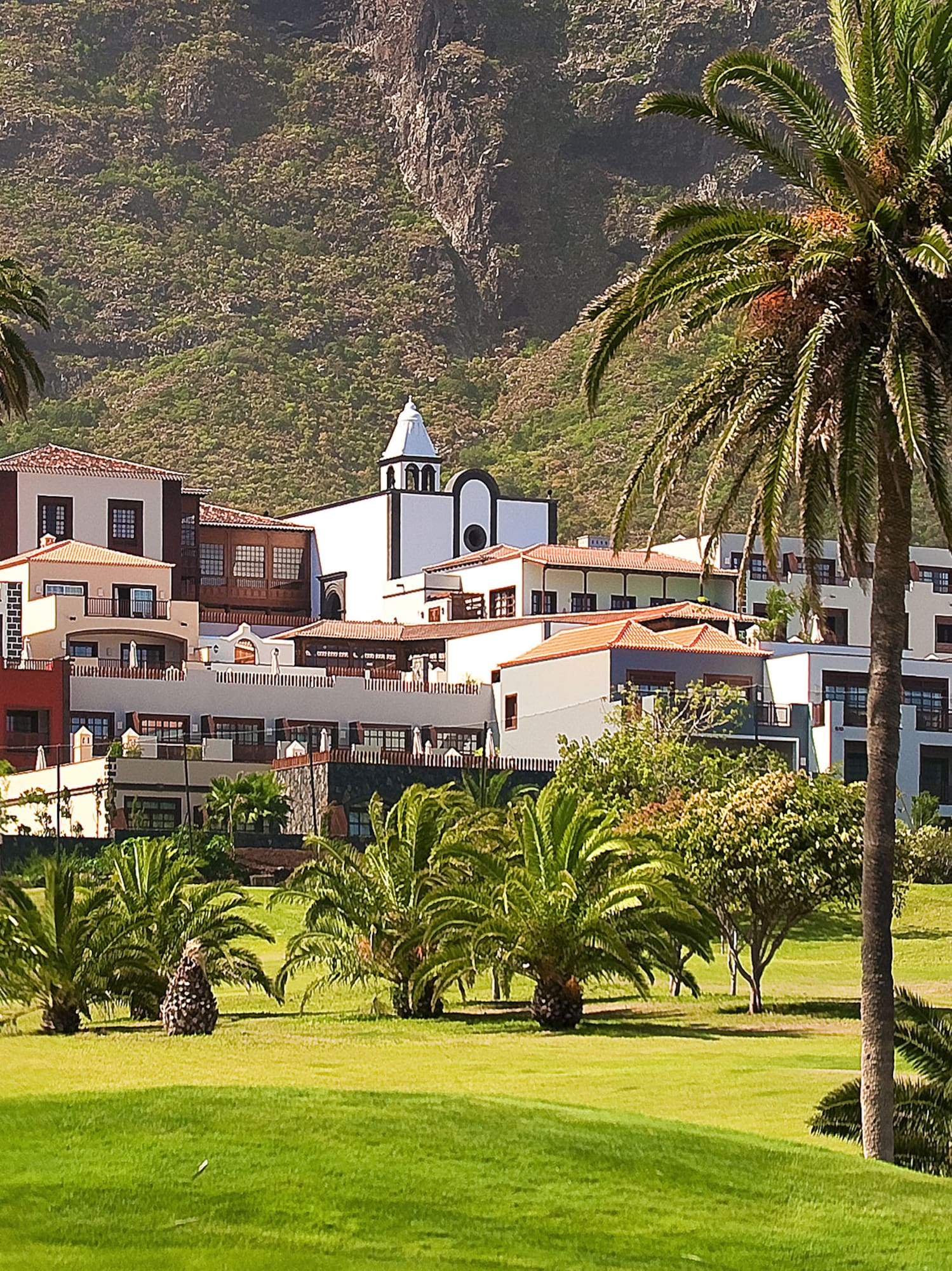 a green lawn with palm trees and buildings in the background