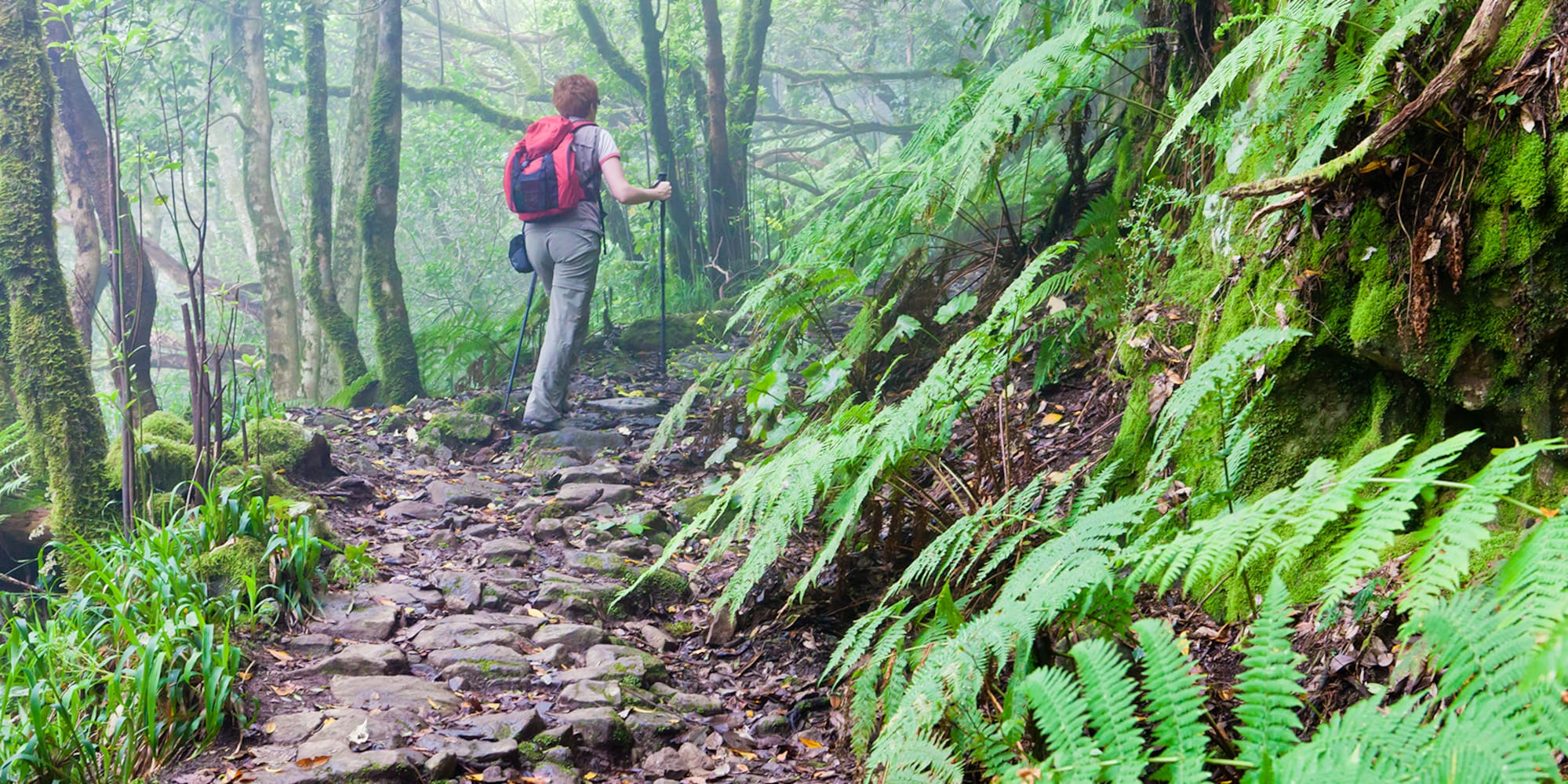 a person hiking in the woods