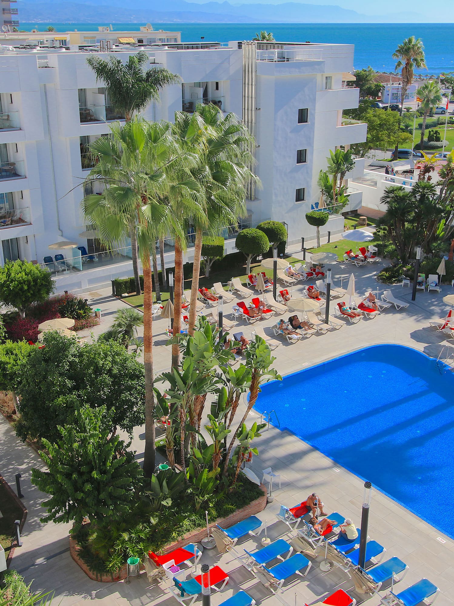 a swimming pool with palm trees and a building with a body of water