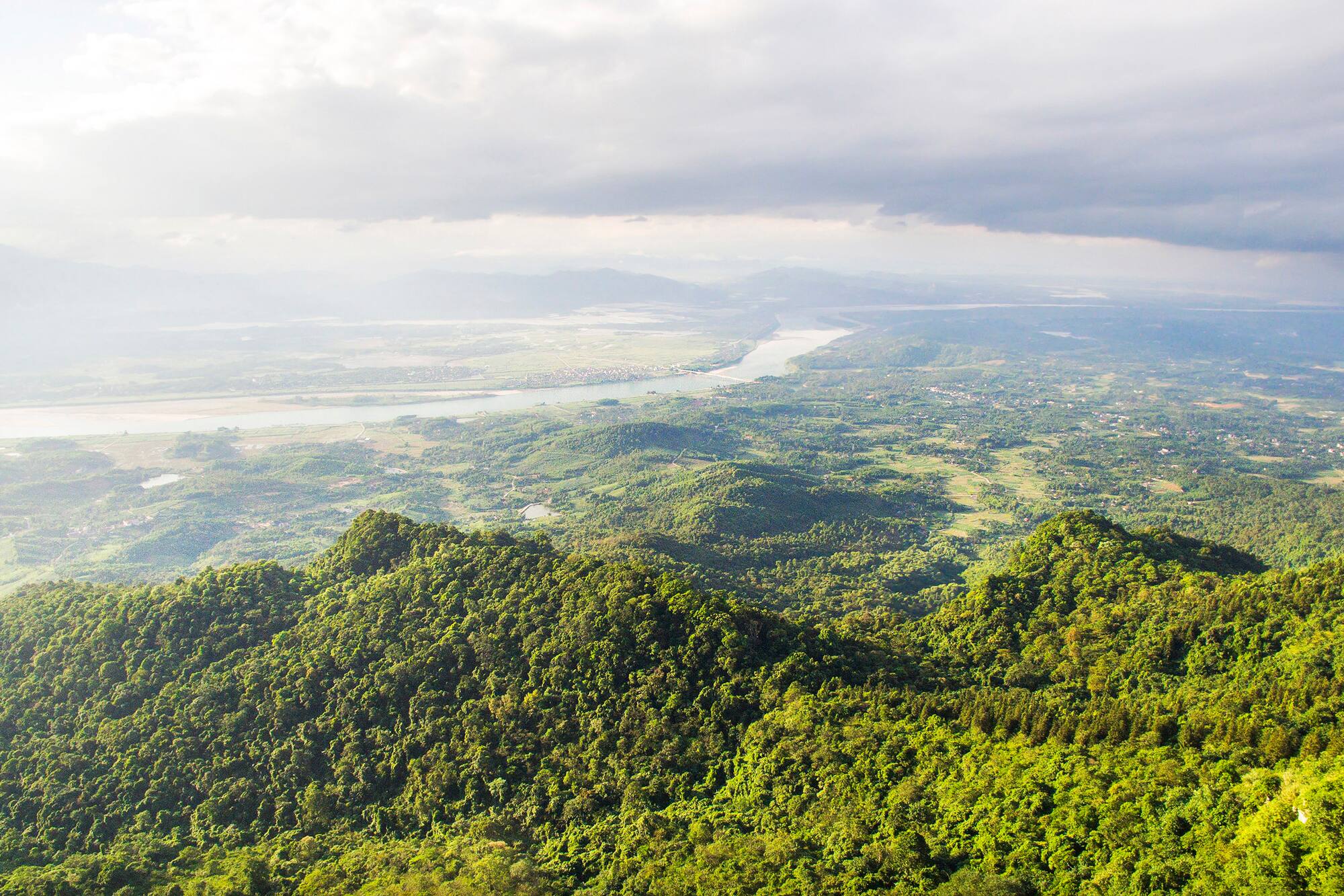 a view of a valley with trees and a river