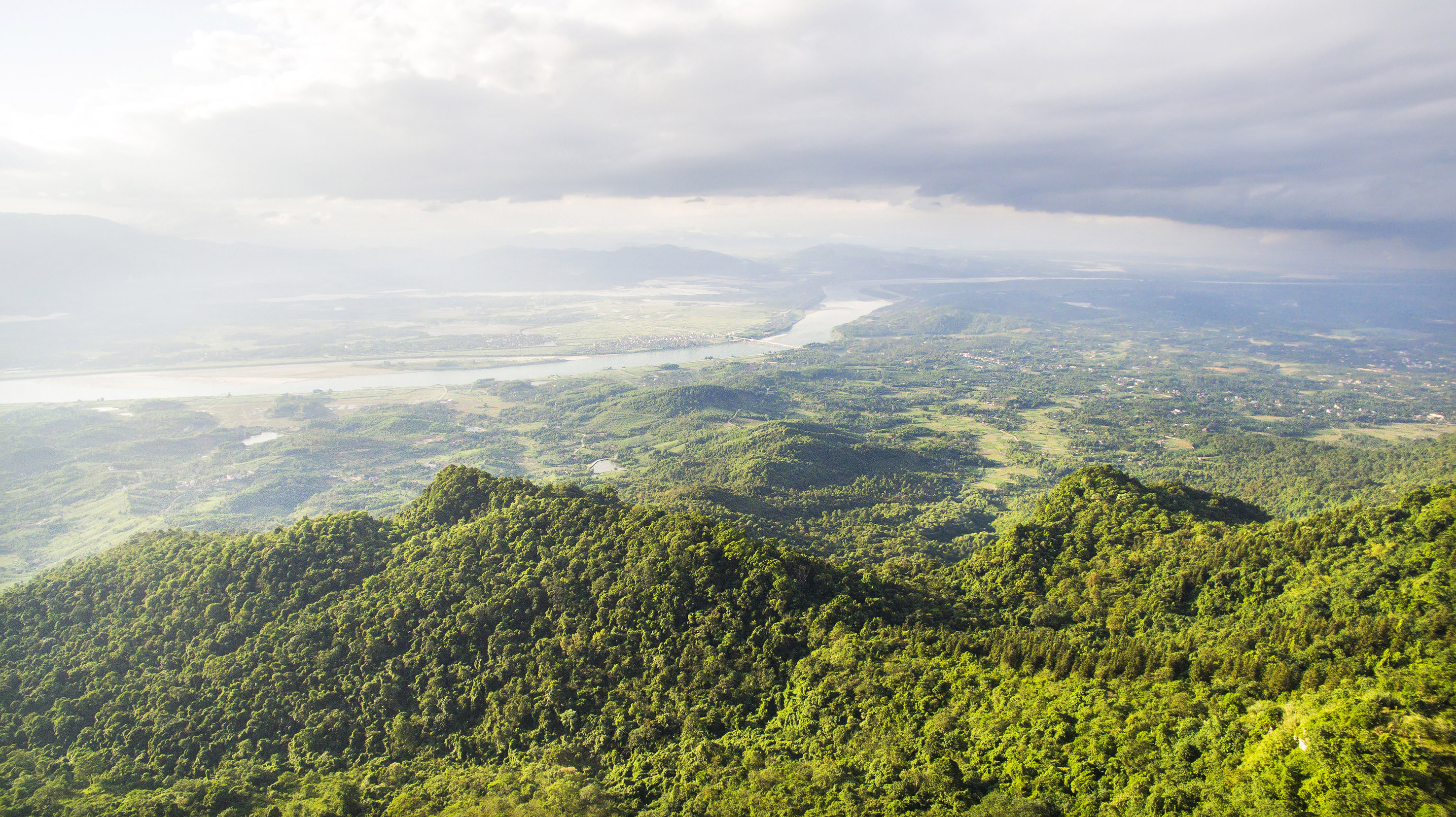 a view of a valley with trees and a river