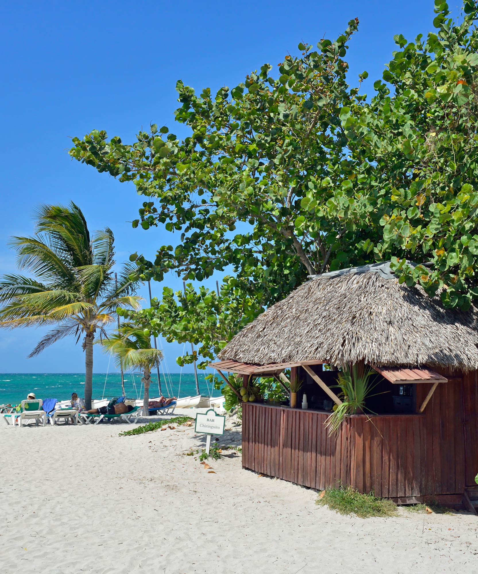 a hut on a beach