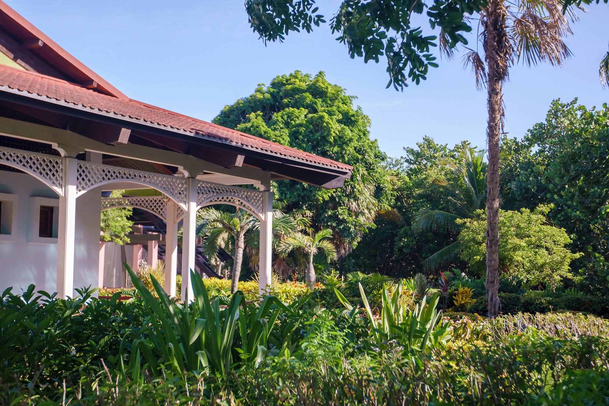a white structure with a roof and plants
