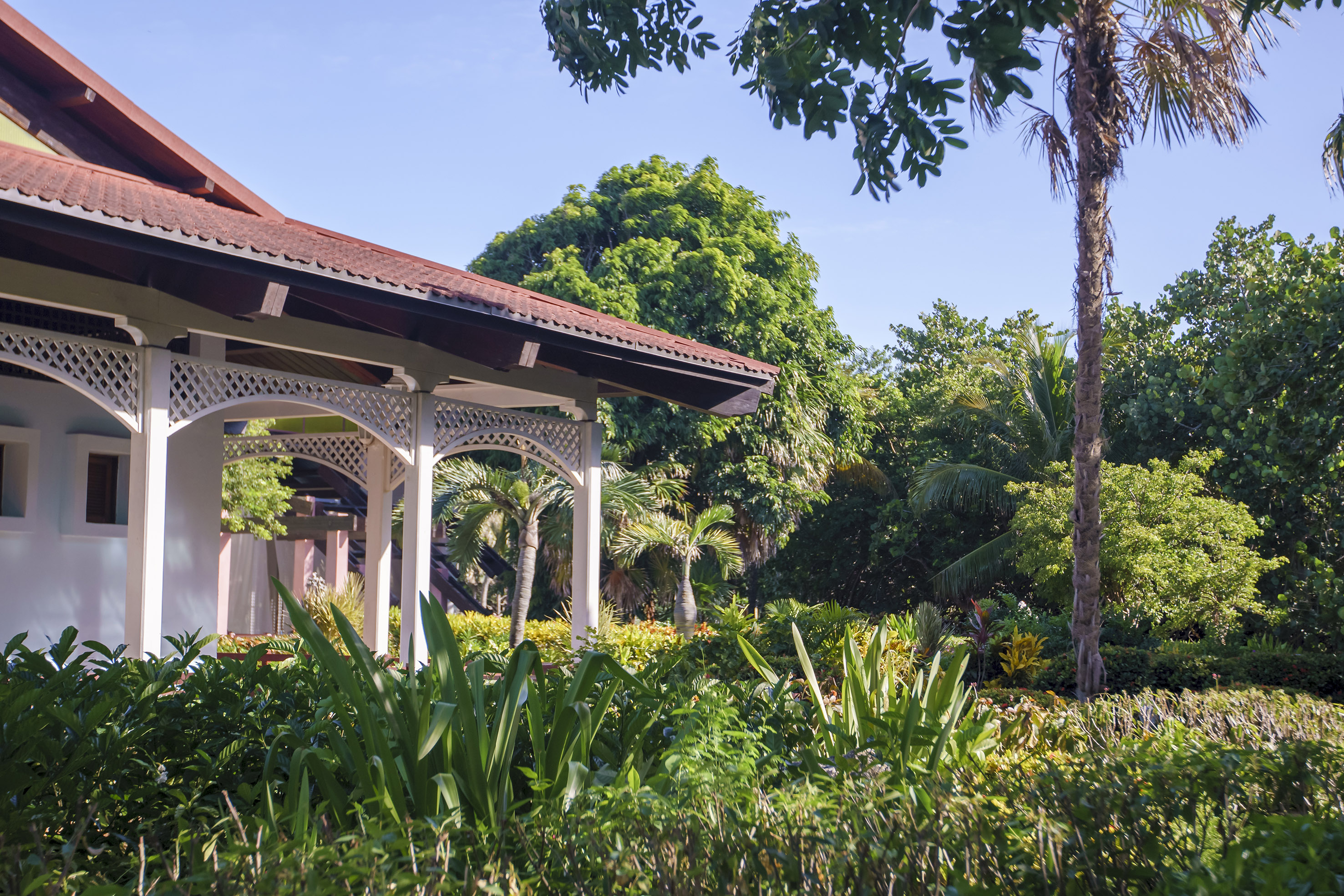 a white structure with a roof and plants