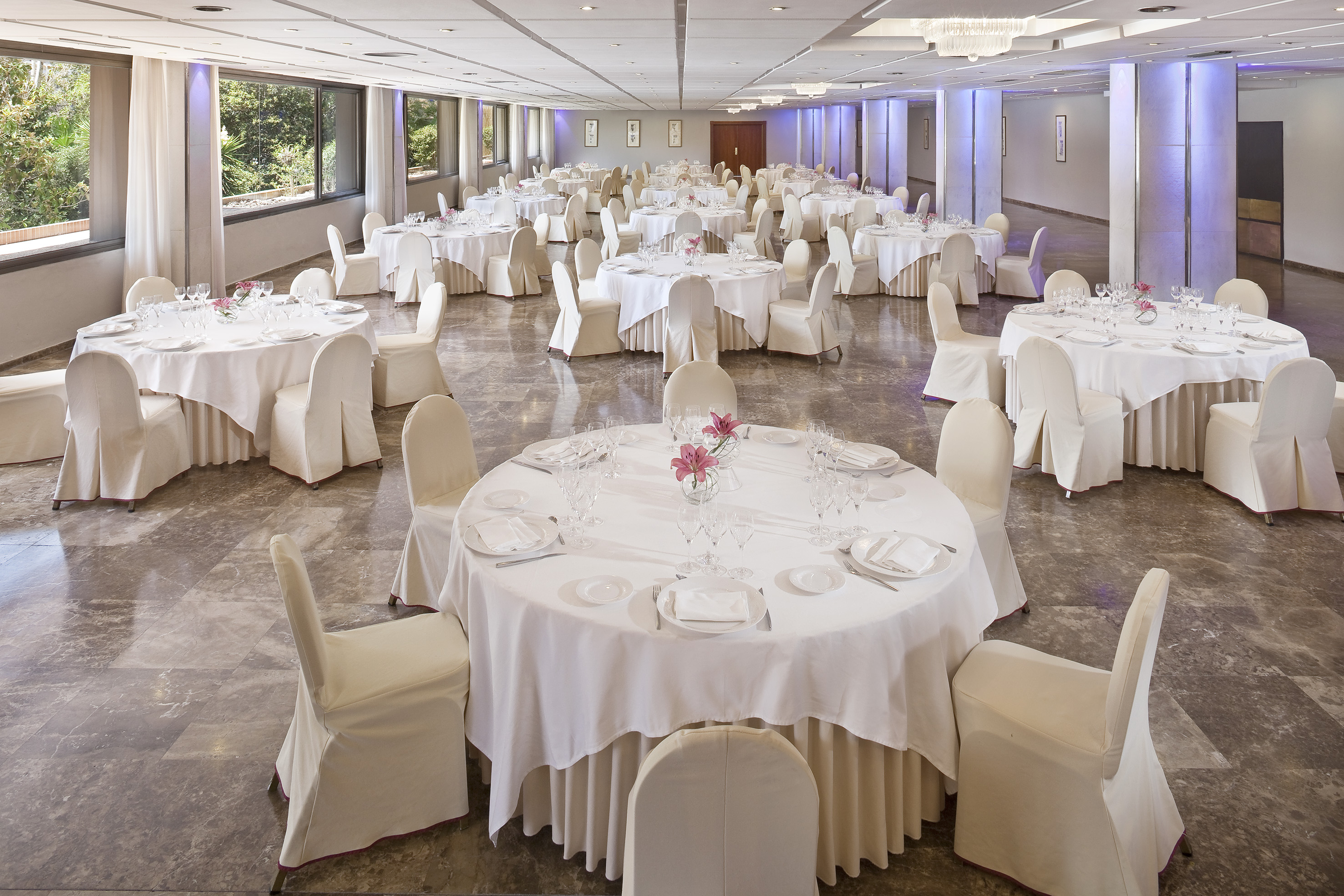 Elegant banquet room set with white-linened tables, floral decor, large windows.