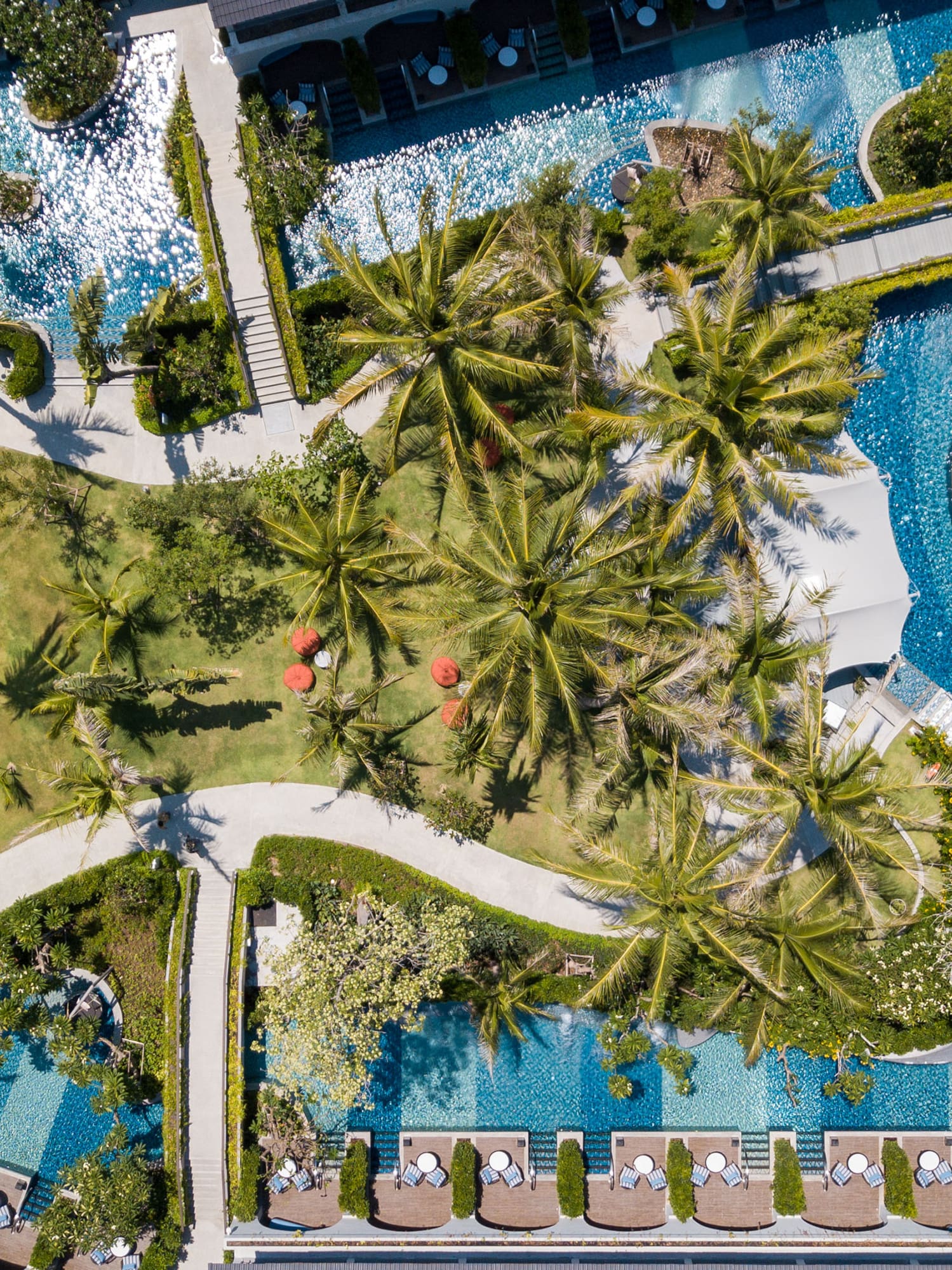 a pool with palm trees and a pool