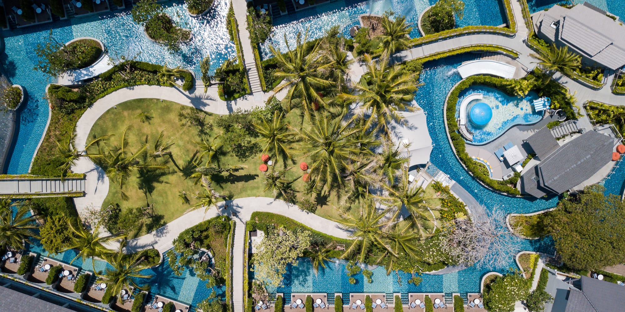 a pool with palm trees and a pool