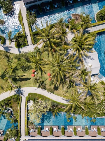 a pool with palm trees and a pool