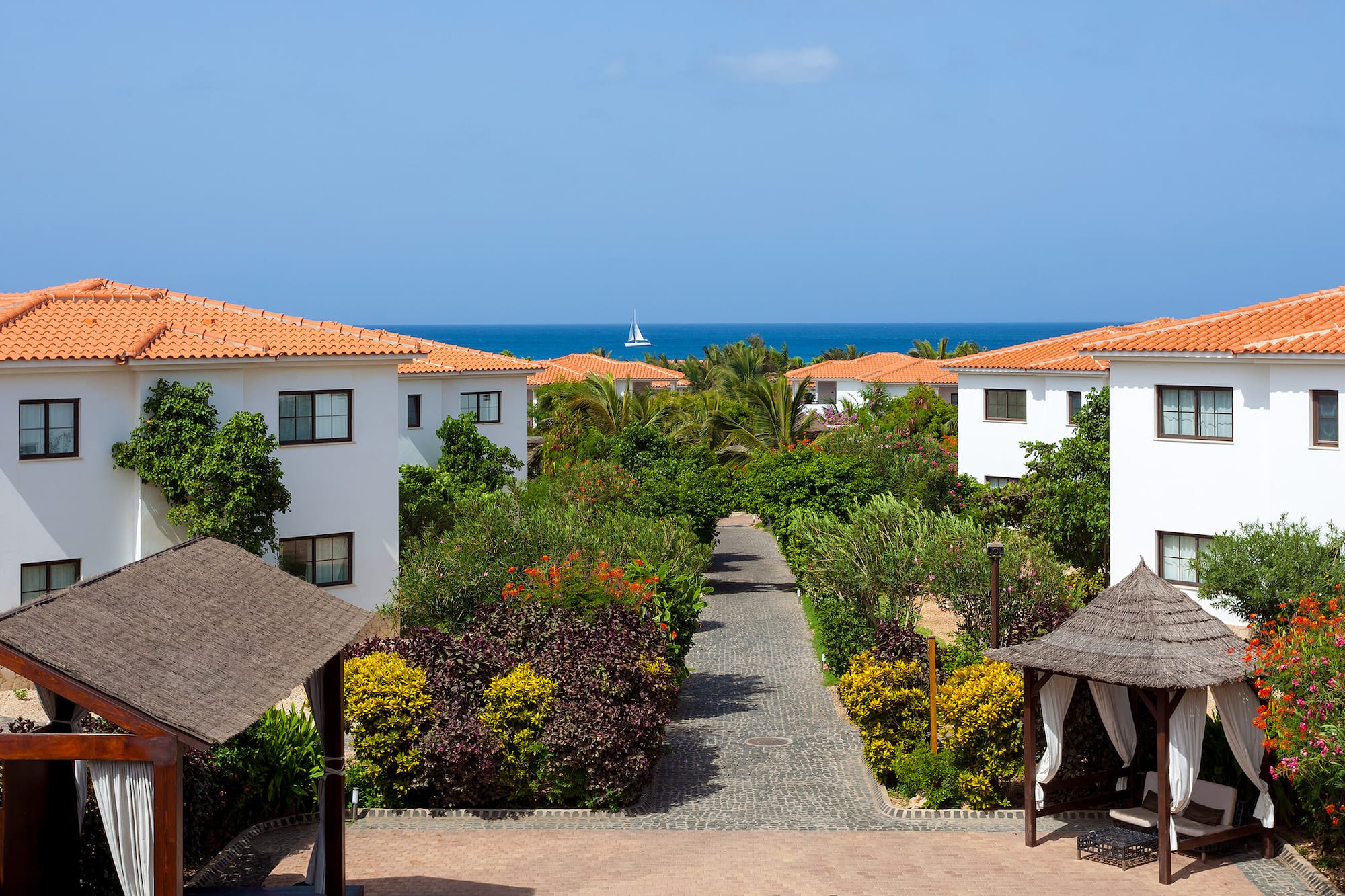 a walkway between buildings with trees and bushes