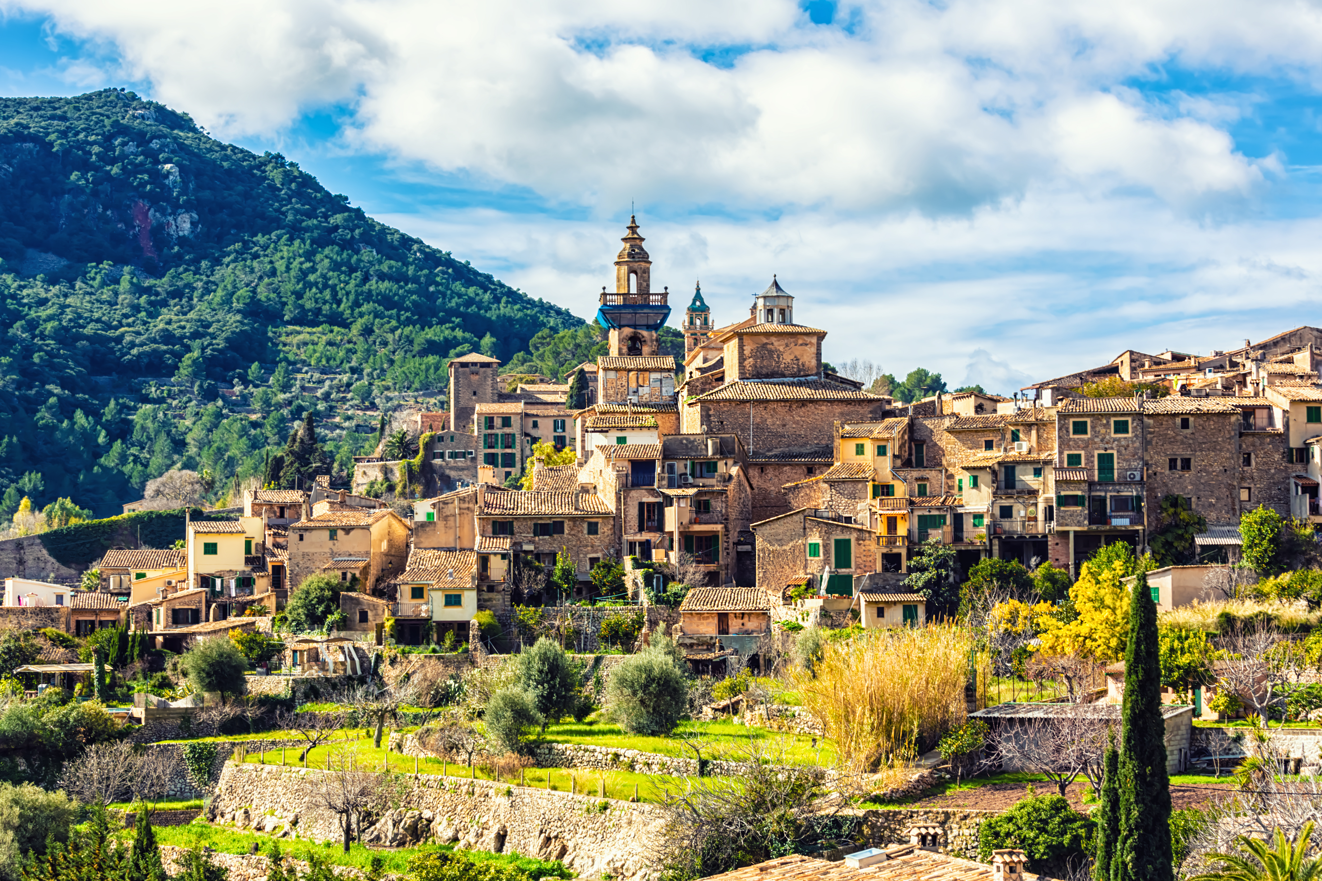 a group of buildings in a village