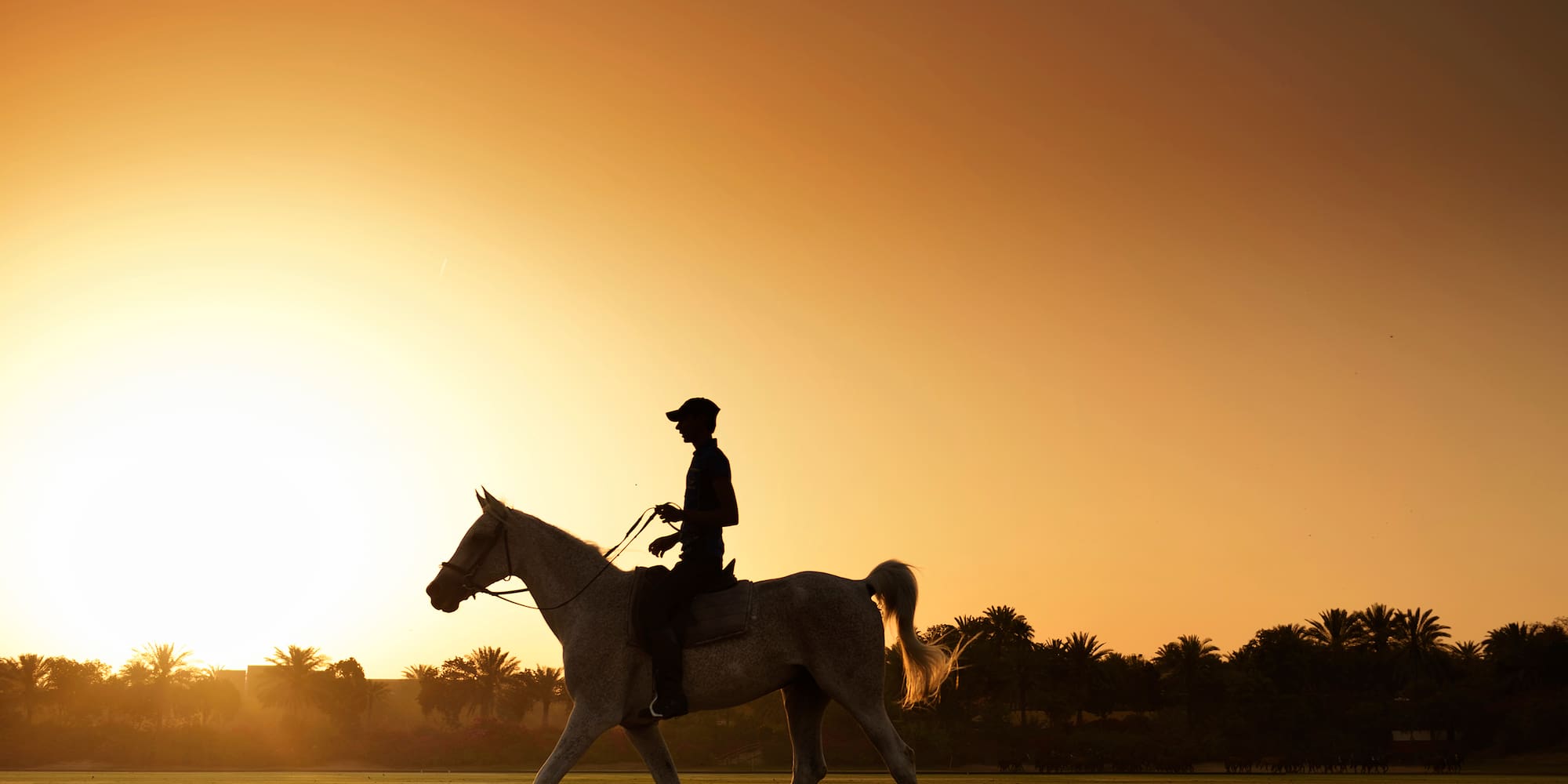 a person riding a horse