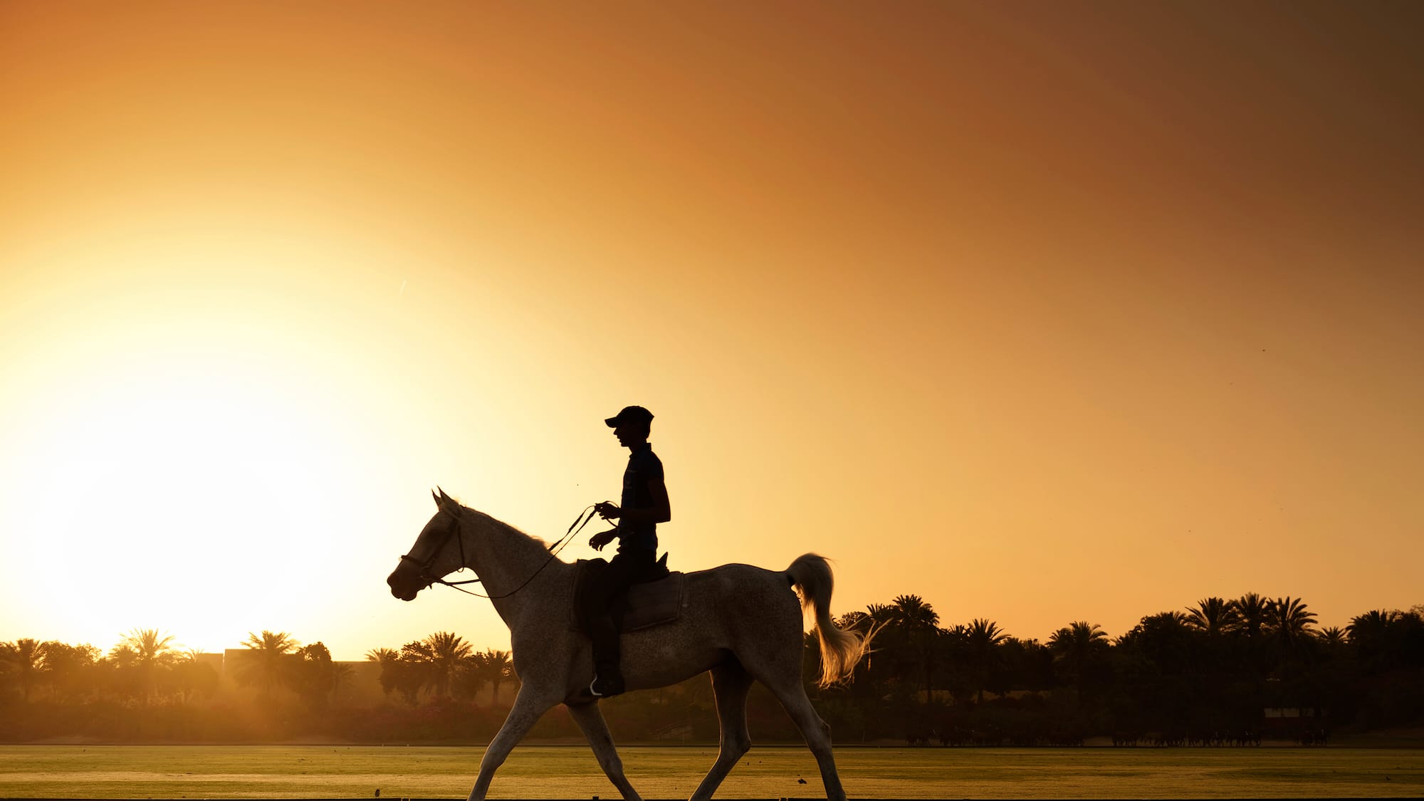 a person riding a horse