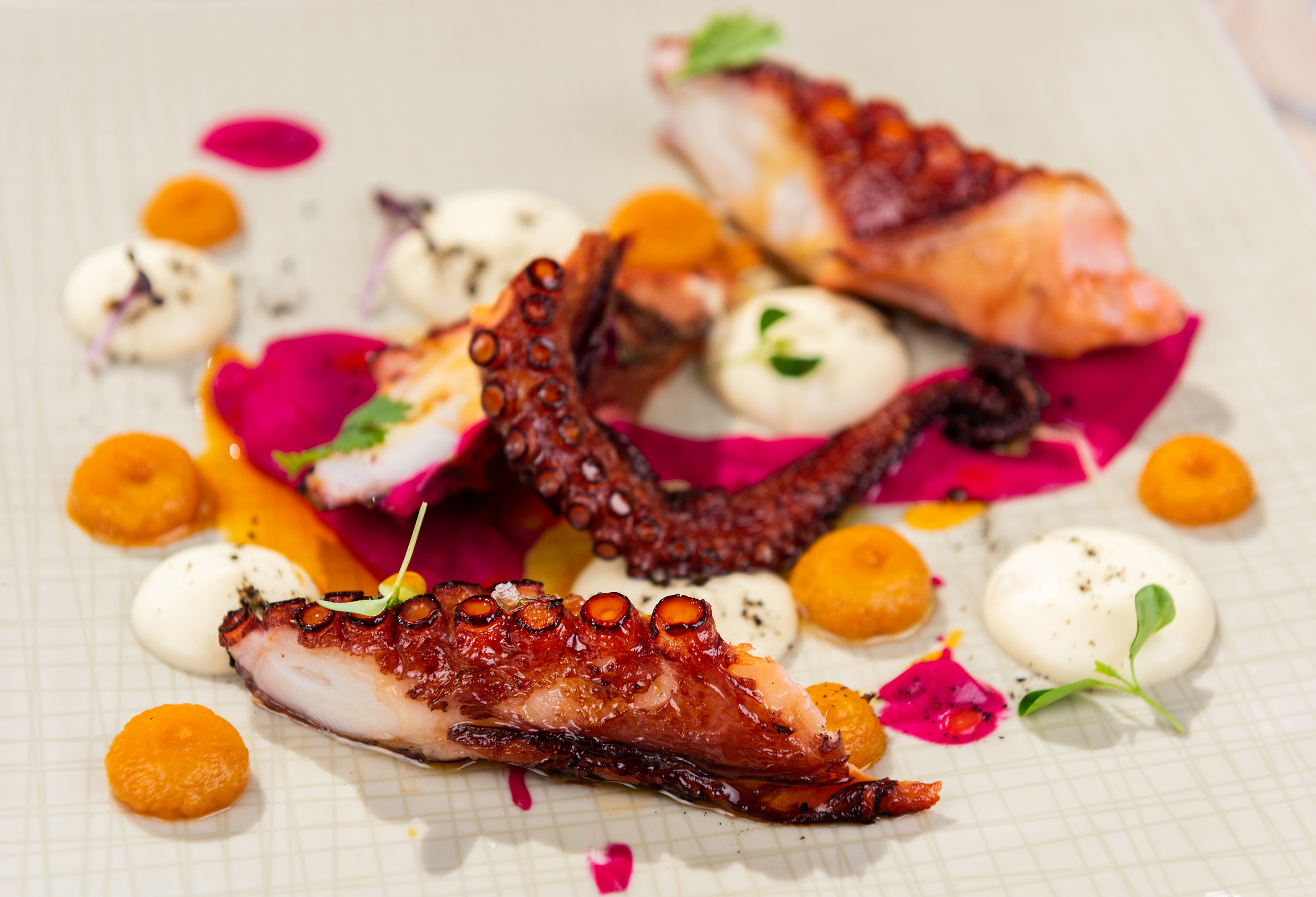 Grilled octopus with vibrant beet, carrot, and cream garnishes on a plate.