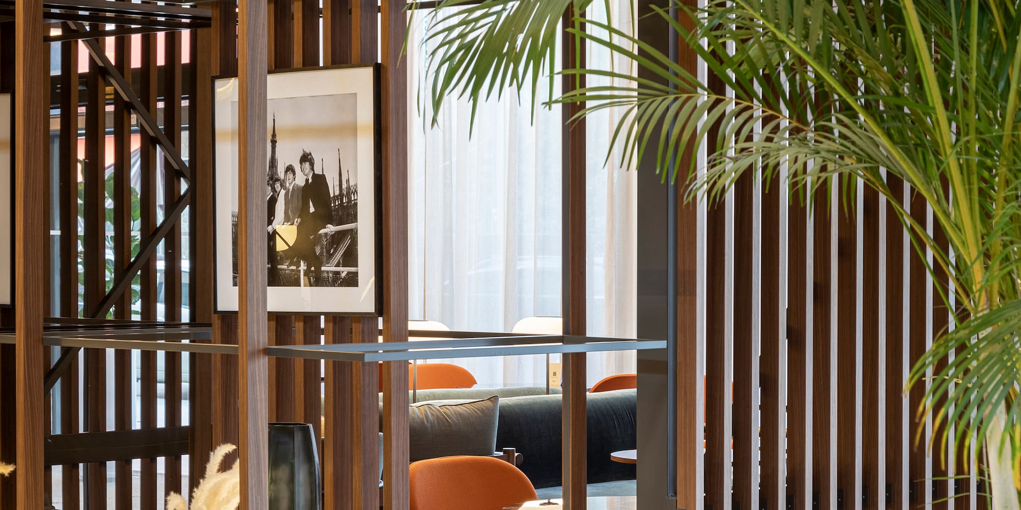 a room with a palm tree and a chair