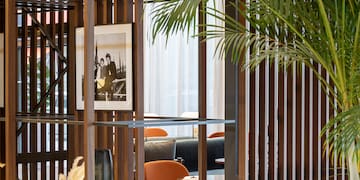 a room with a palm tree and a chair