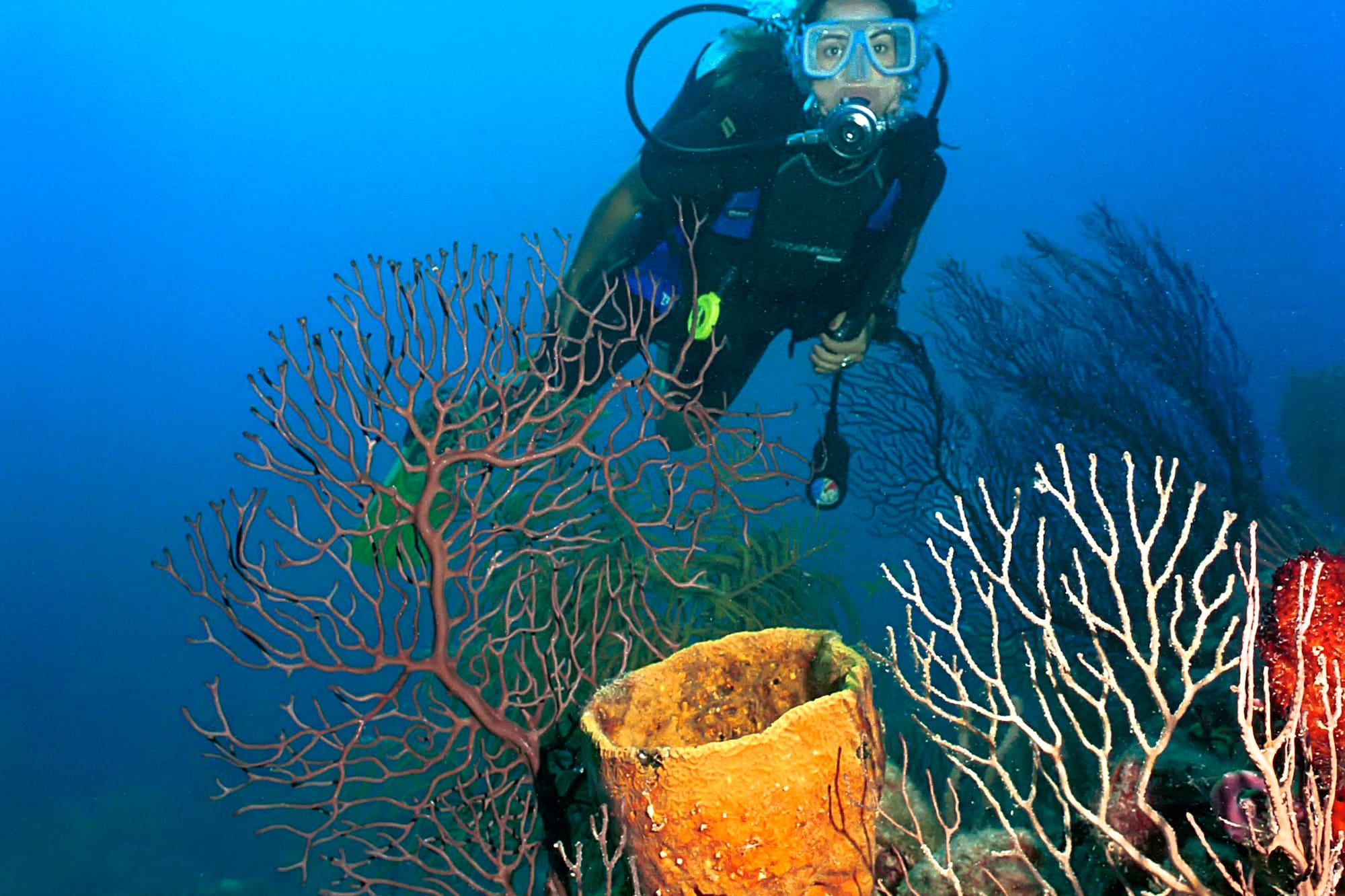 a scuba diver under water
