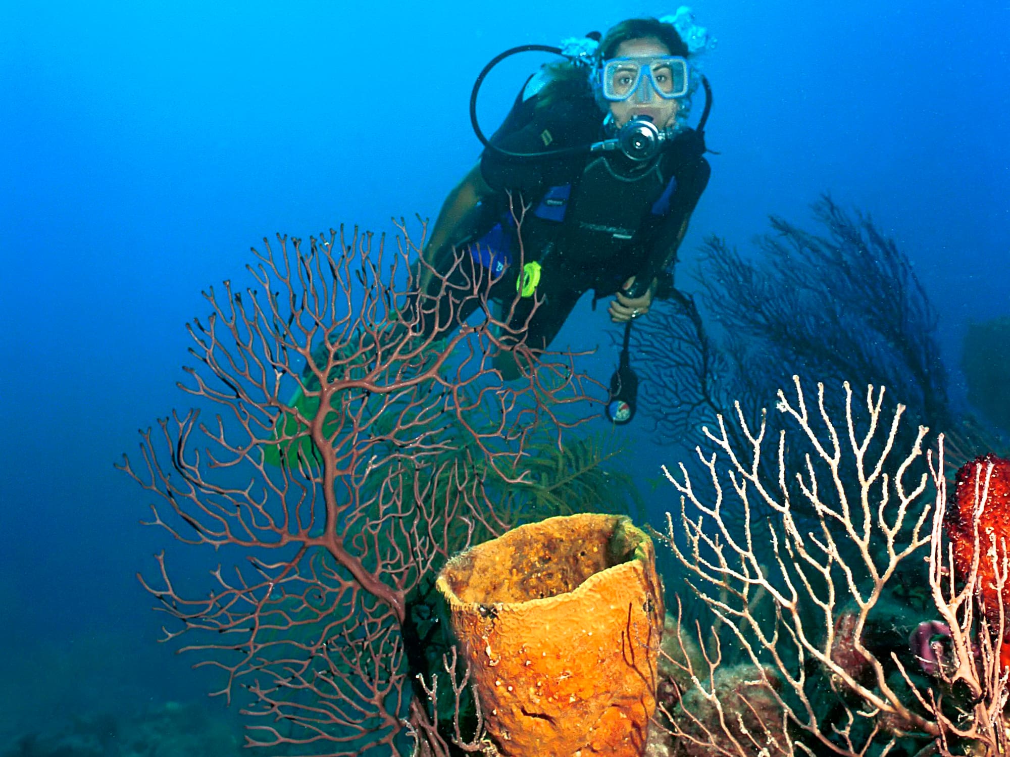 a scuba diver under water