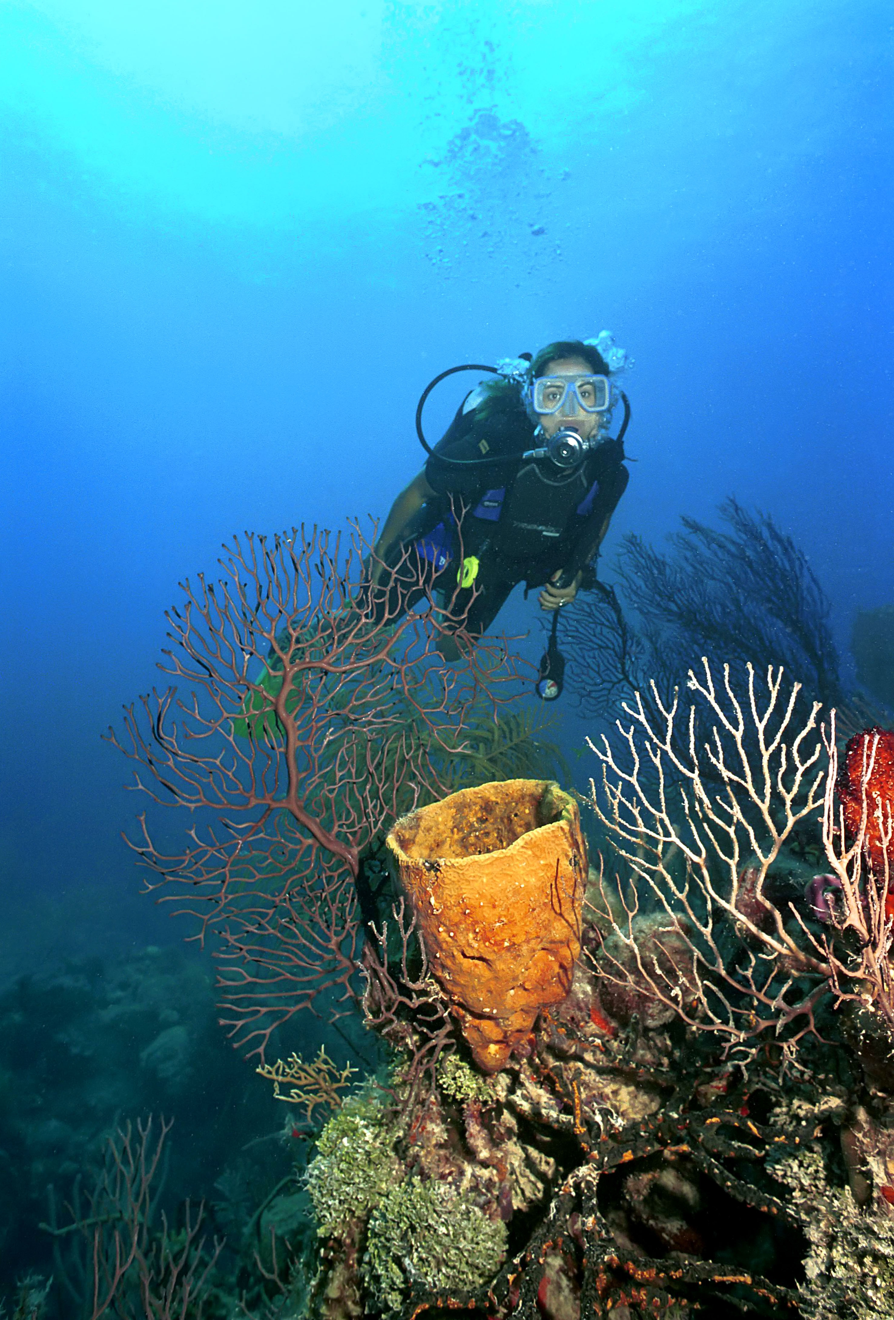 a scuba diver under water