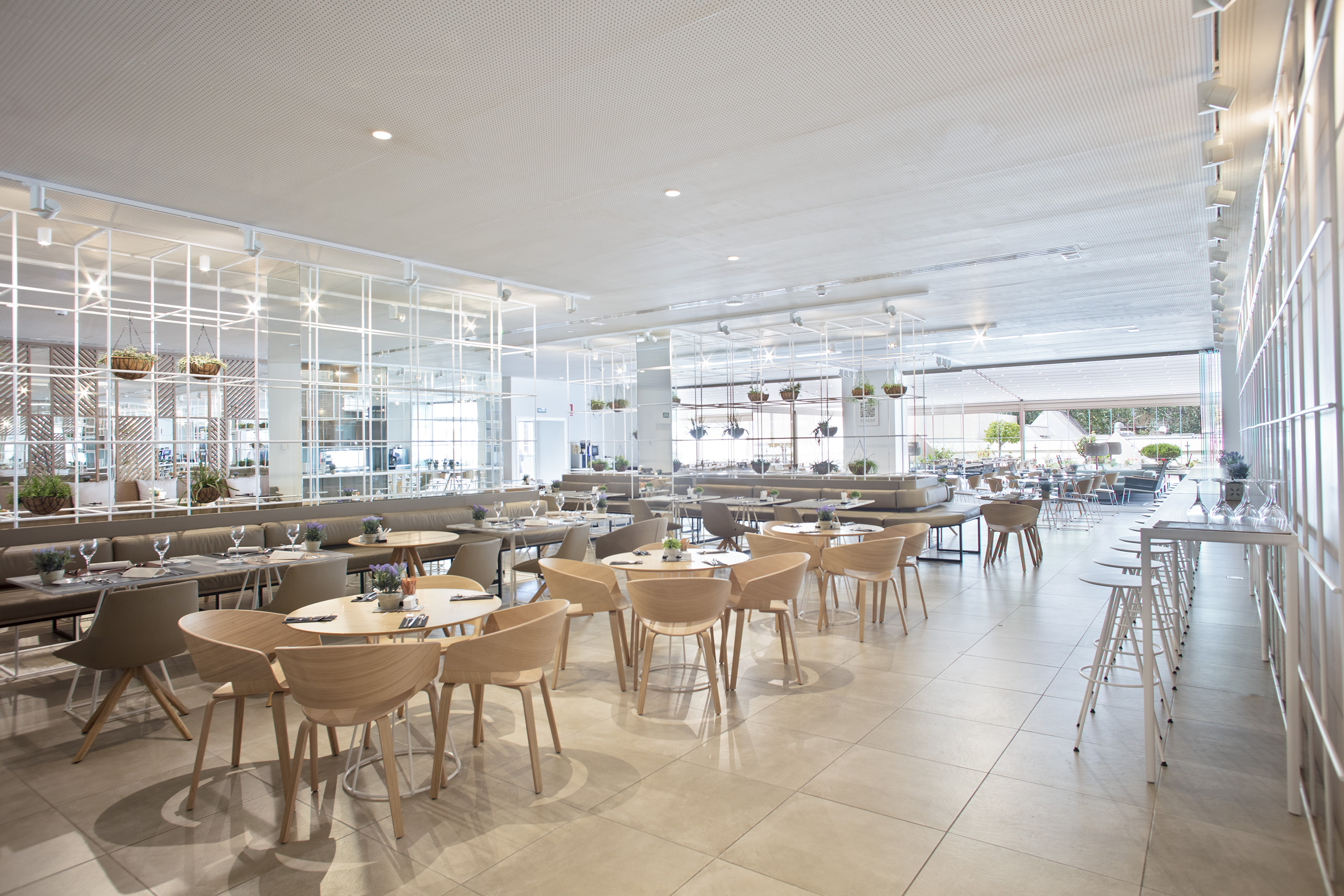 Modern restaurant with wooden chairs, banquettes, and hanging plants.