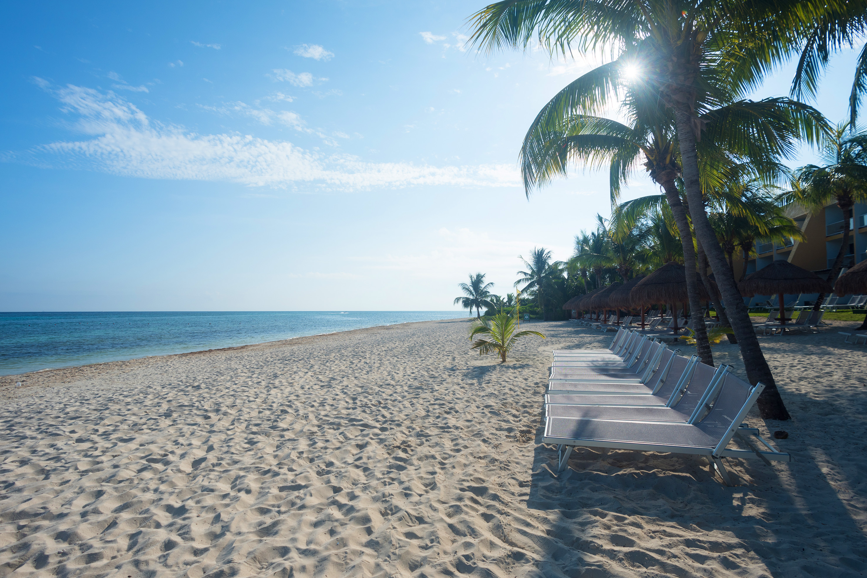 a row of chairs on a beach