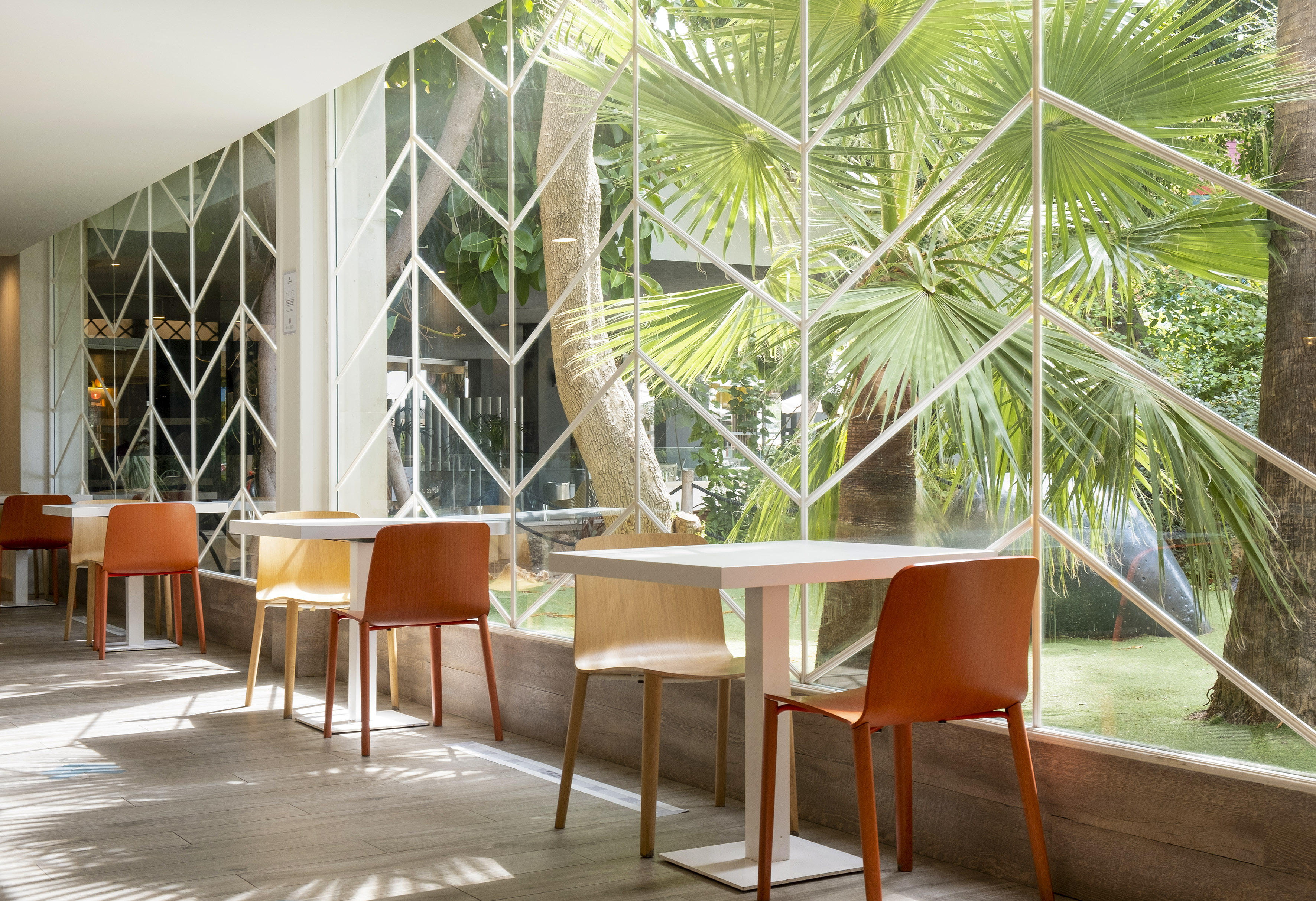 Modern cafe dining area with white tables, wooden chairs, and palm tree view.