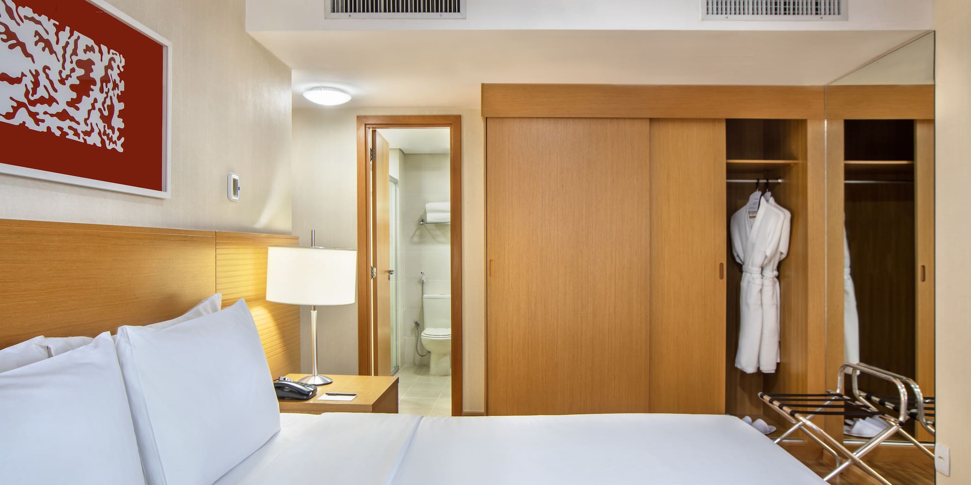 a room with a bed and a closet