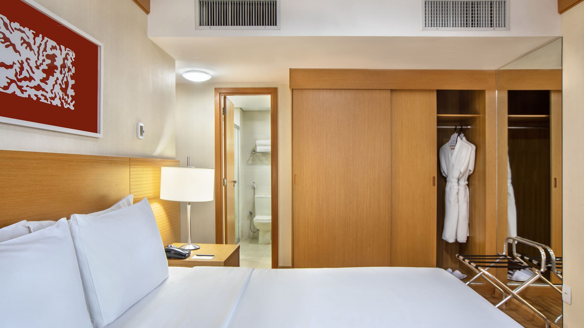 a room with a bed and a closet